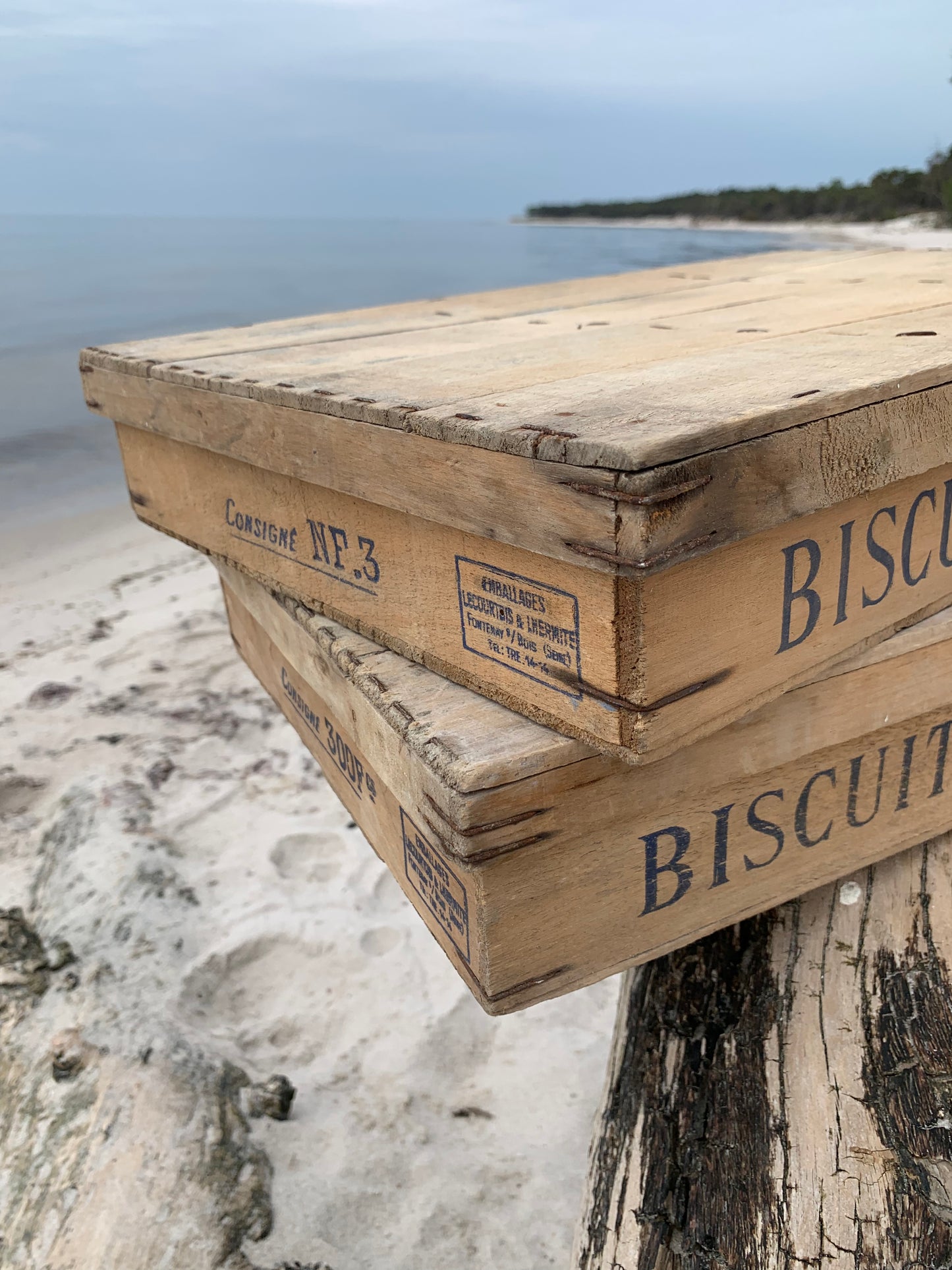Dekorative Box mit Deckel