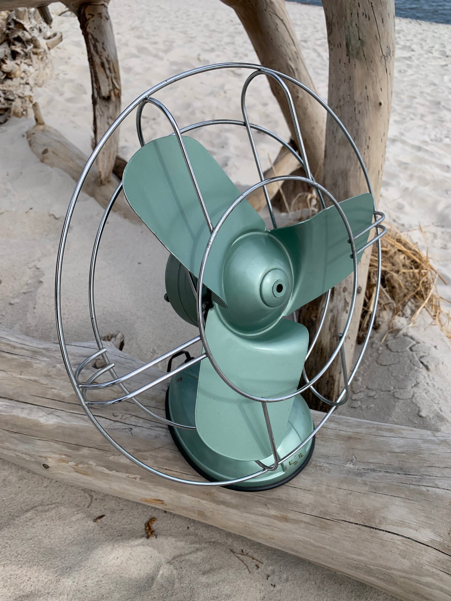 Fan