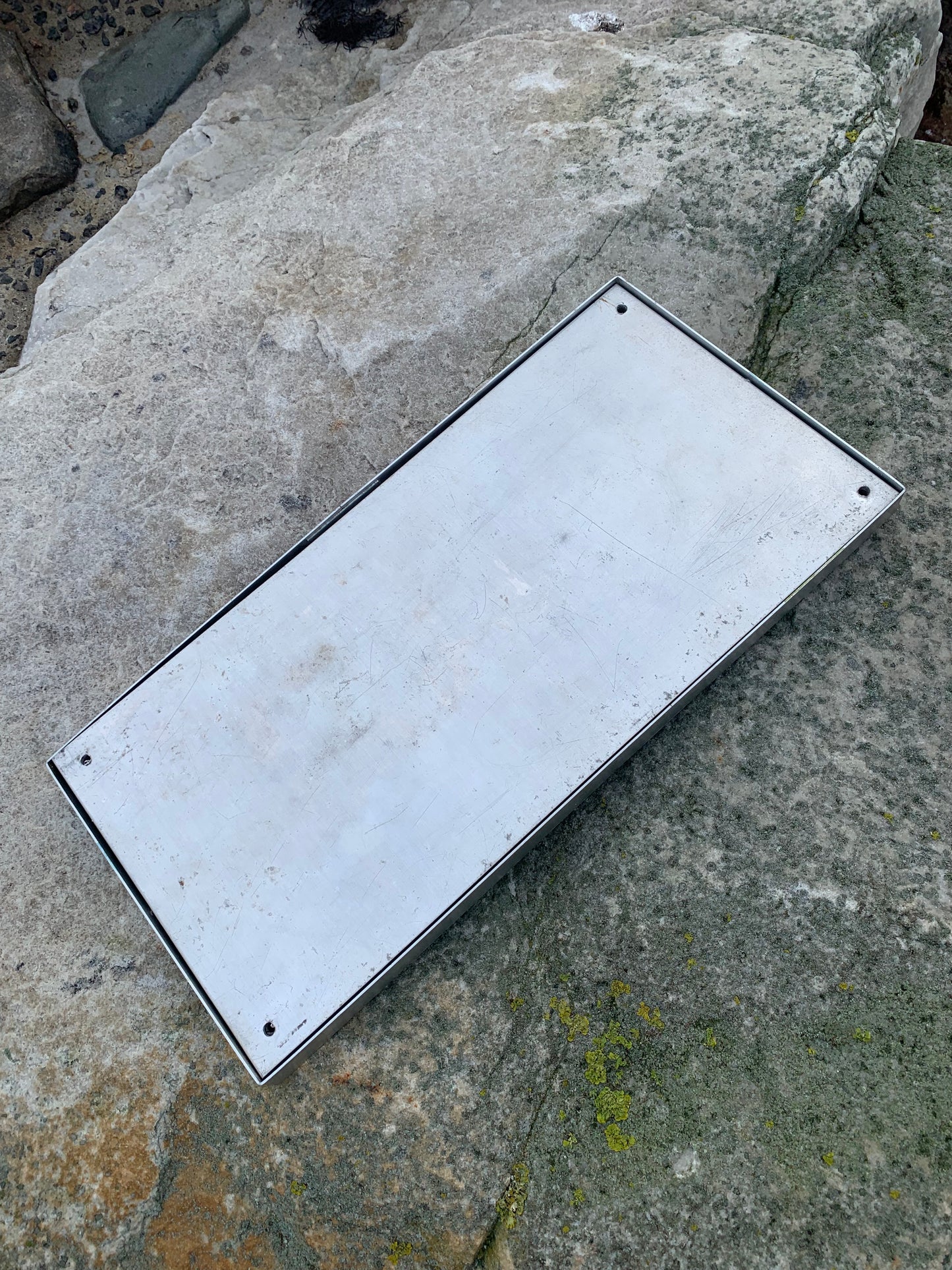Schild