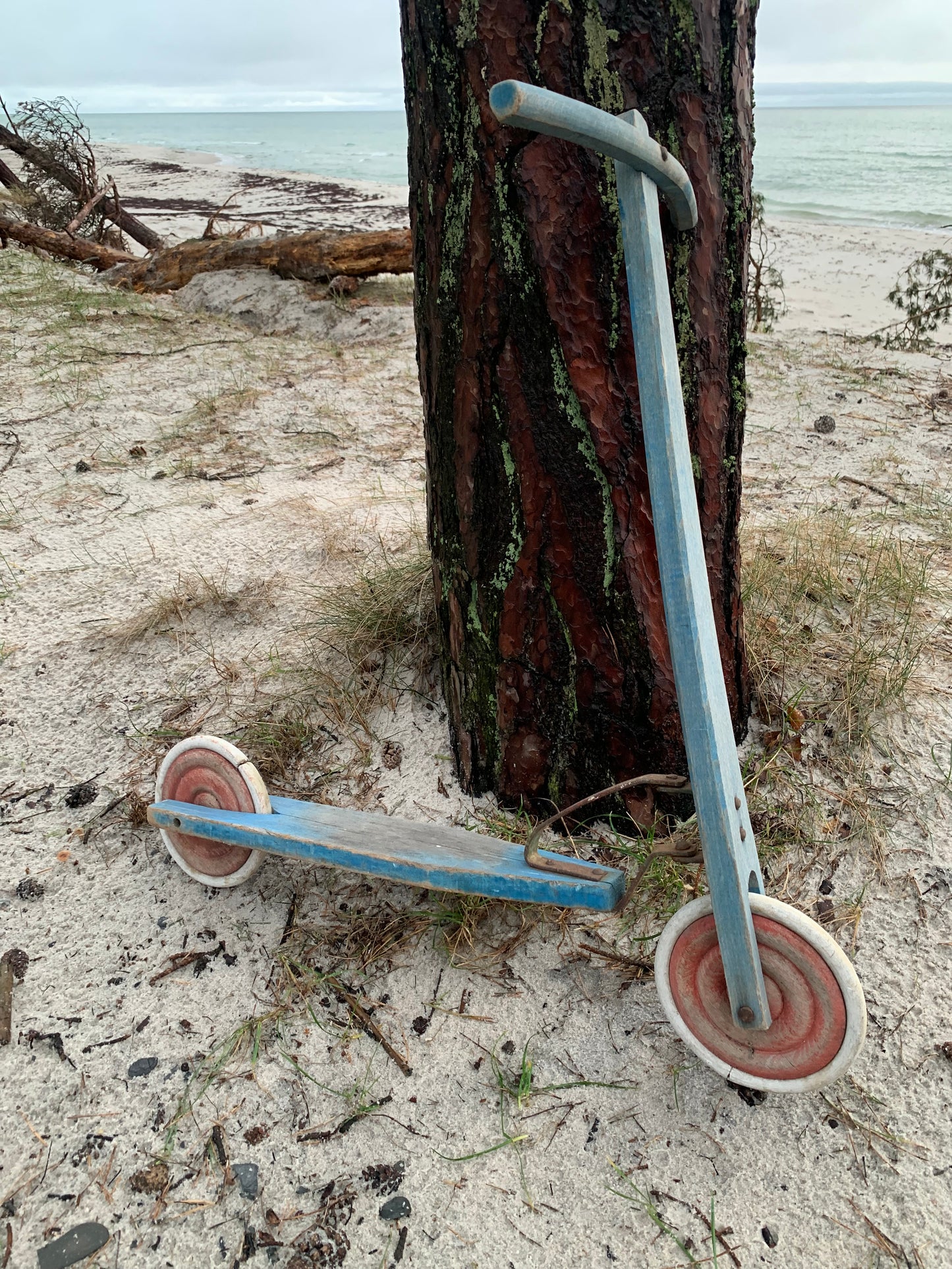 Dekorativer Roller
