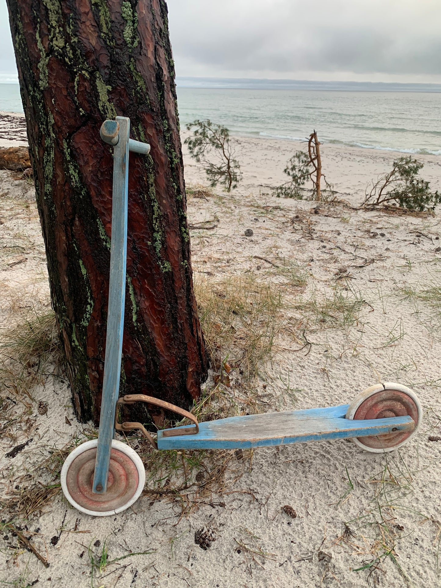 Dekorativer Roller