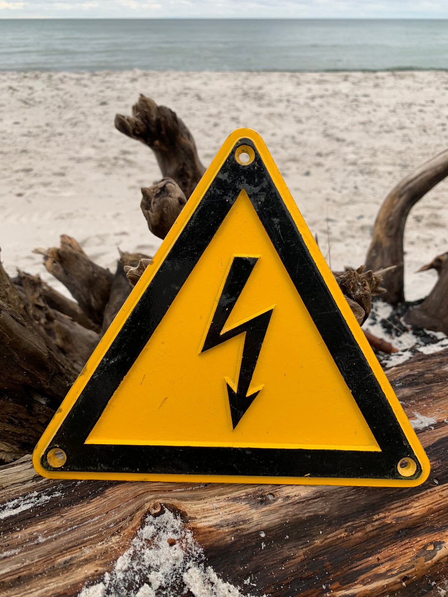 Schild