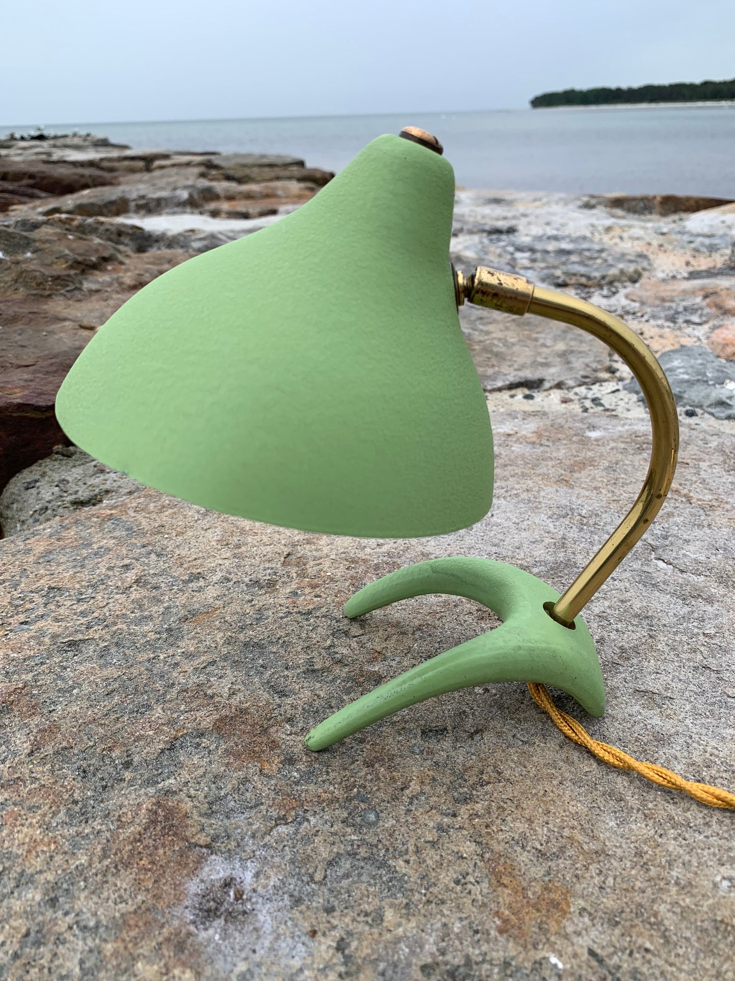 Cosack Crowfoot - Mini