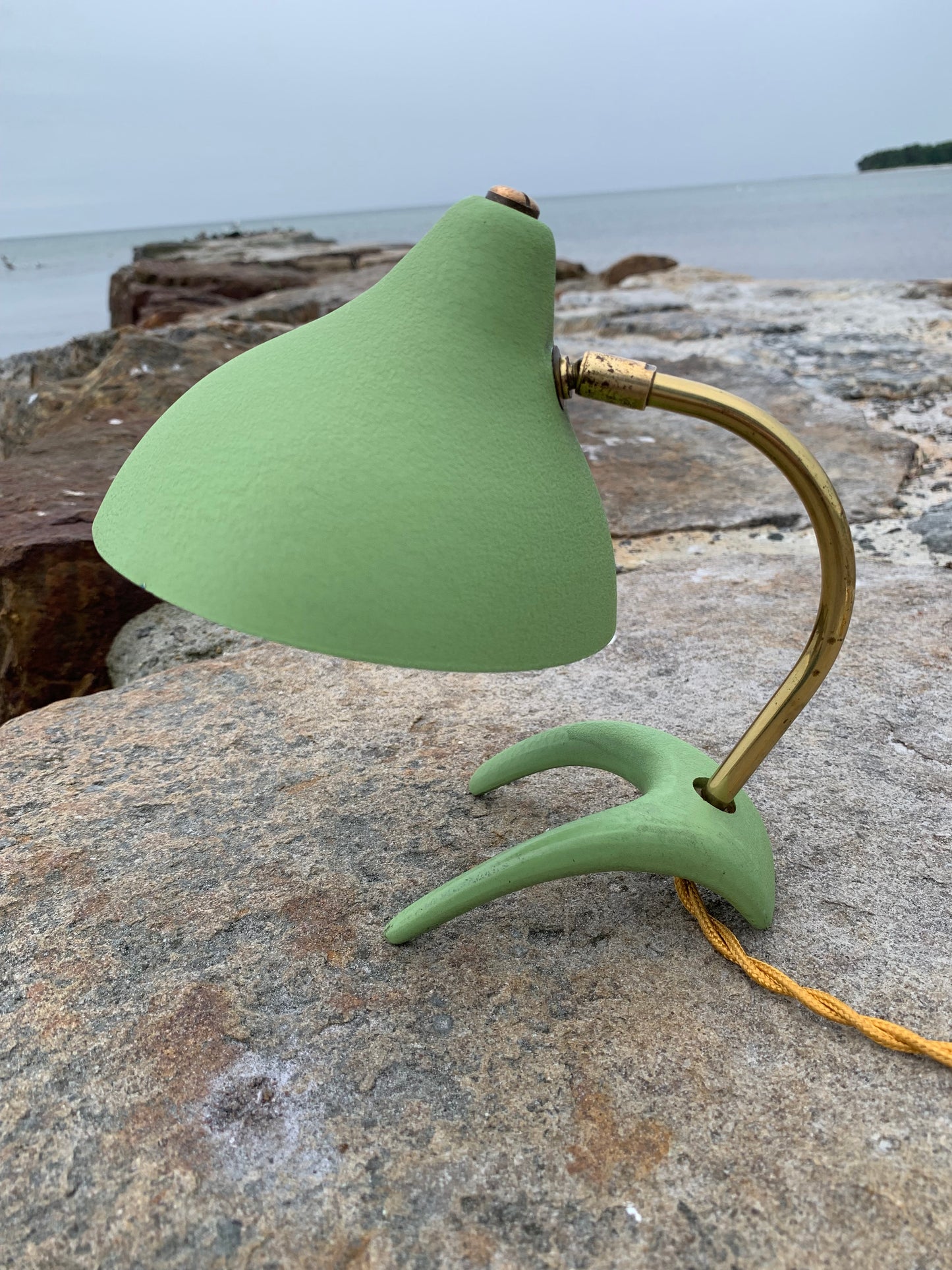 Cosack Crowfoot - Mini