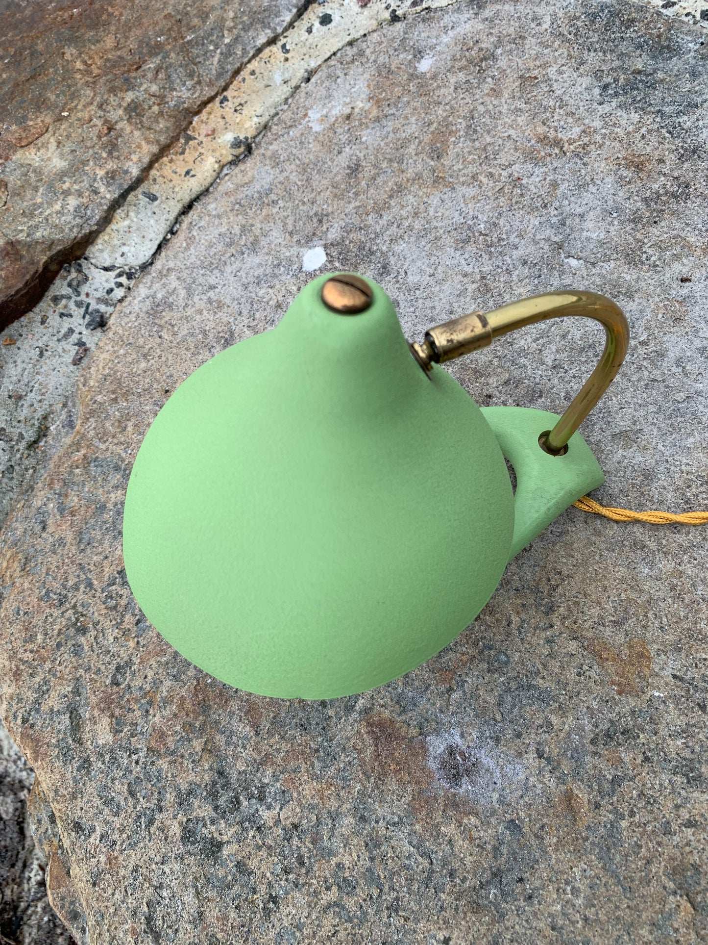 Cosack Crowfoot - Mini