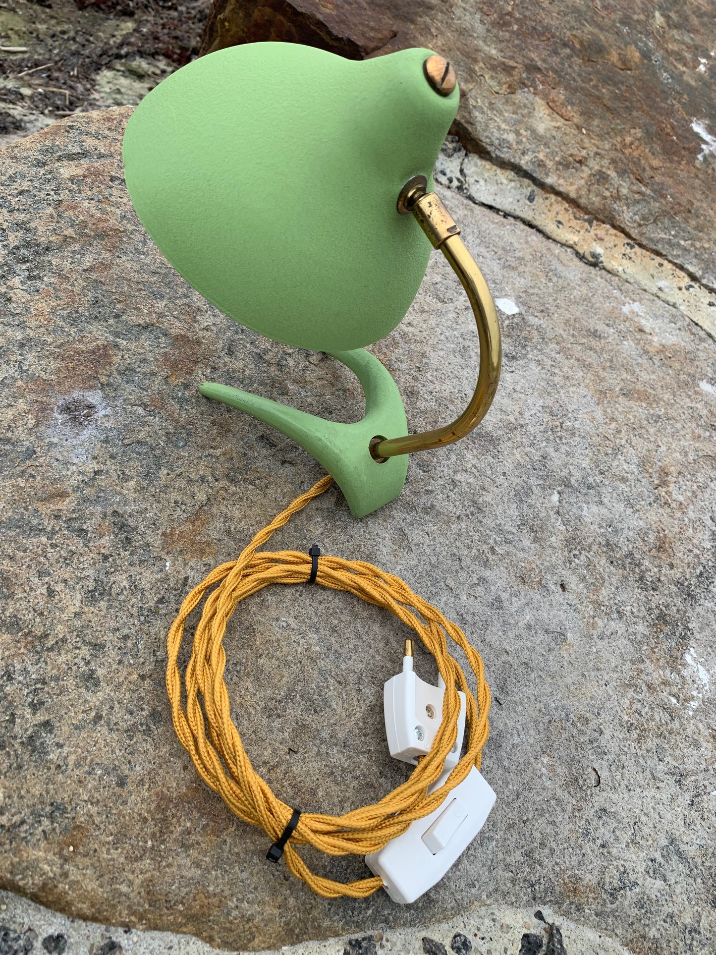 Cosack Crowfoot - Mini