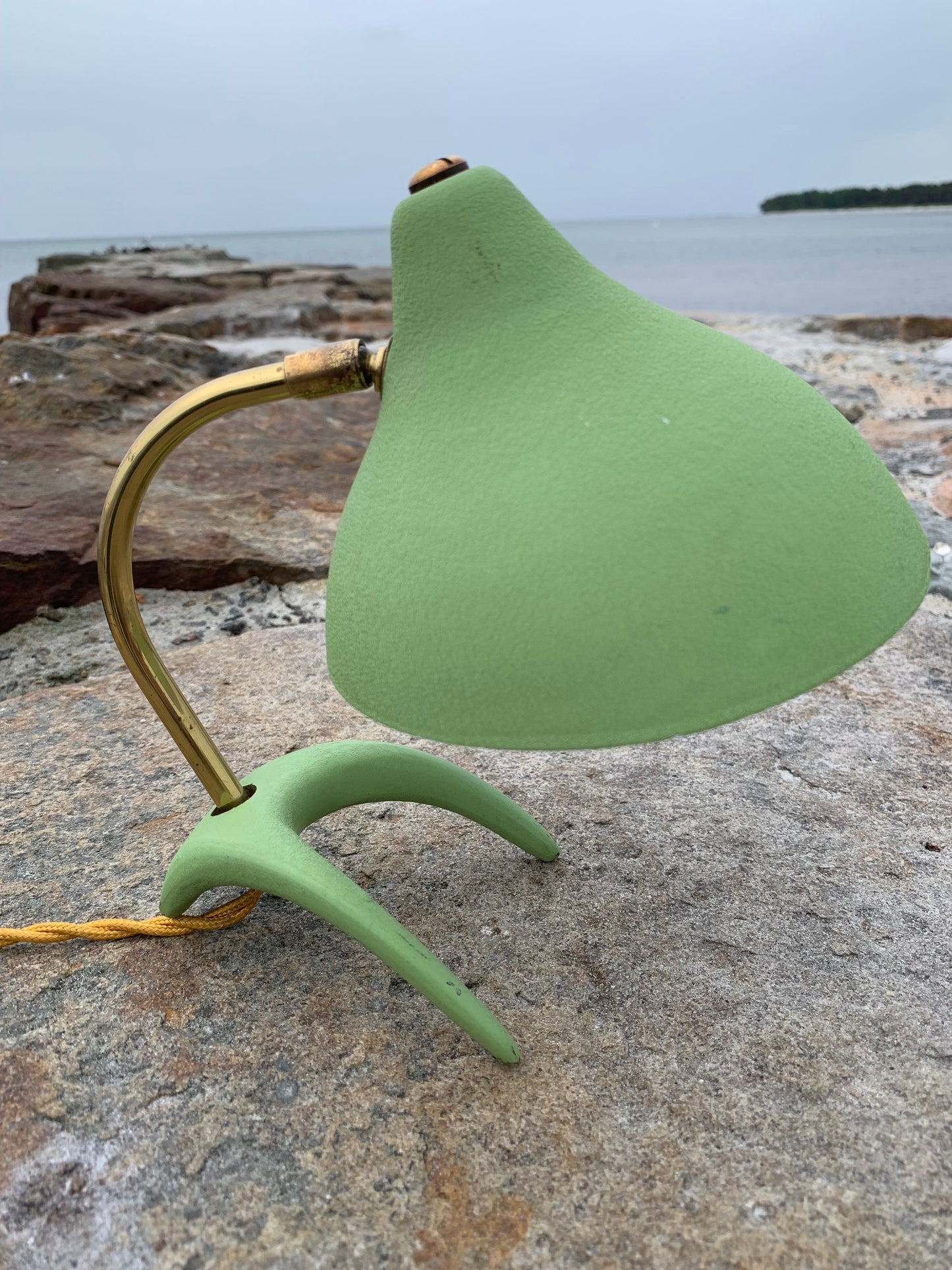 Cosack Crowfoot - Mini