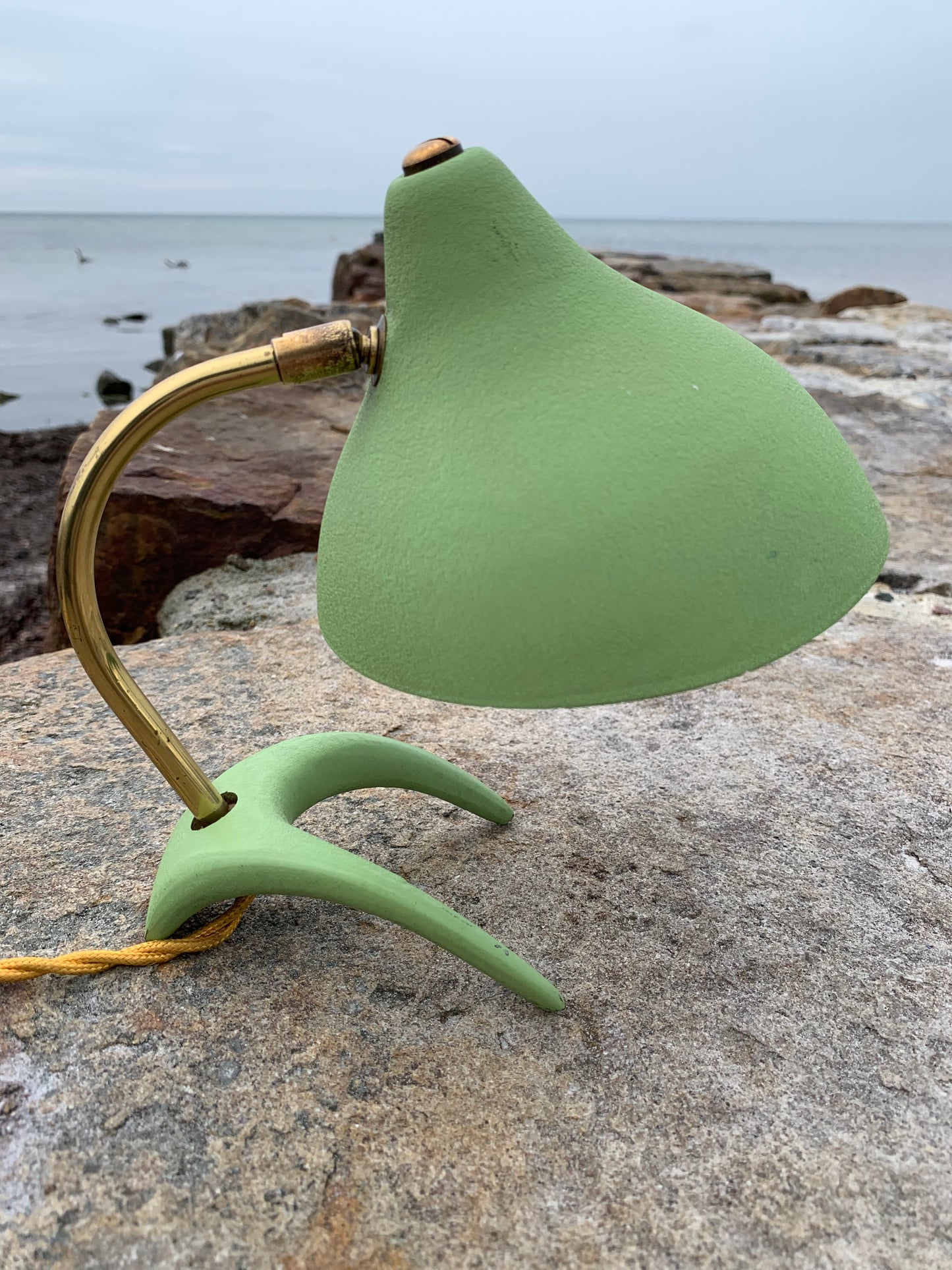 Cosack Crowfoot - Mini