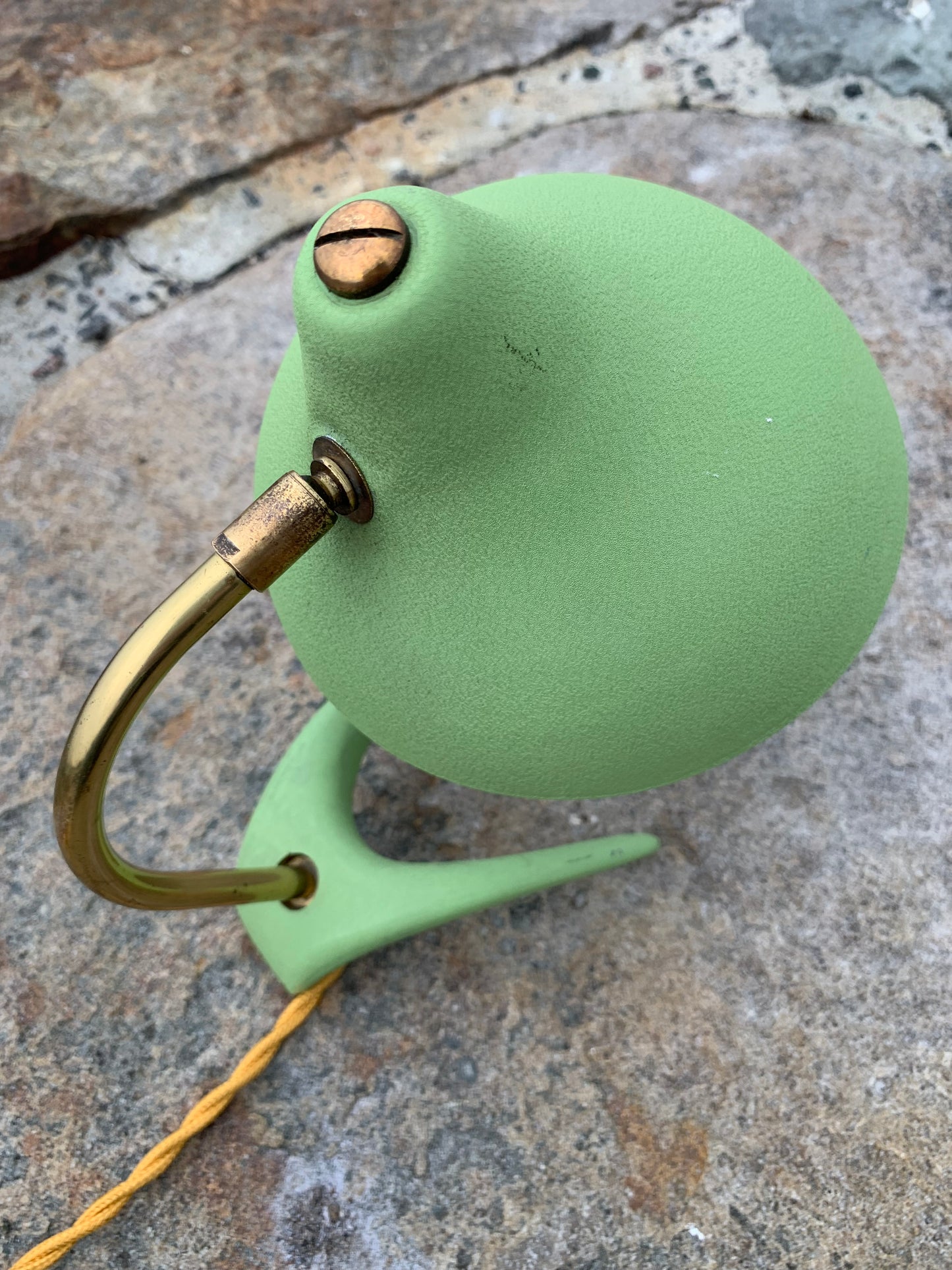 Cosack Crowfoot - Mini