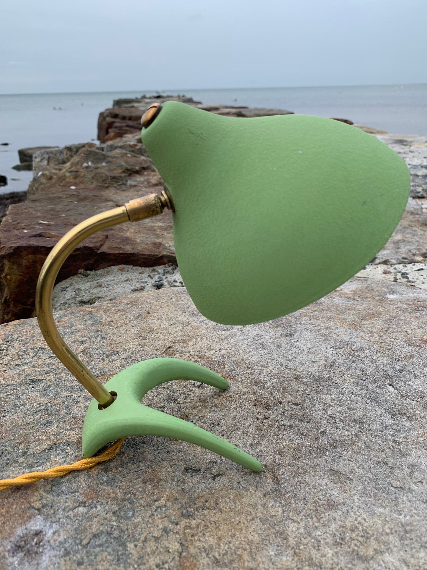 Cosack Crowfoot - Mini