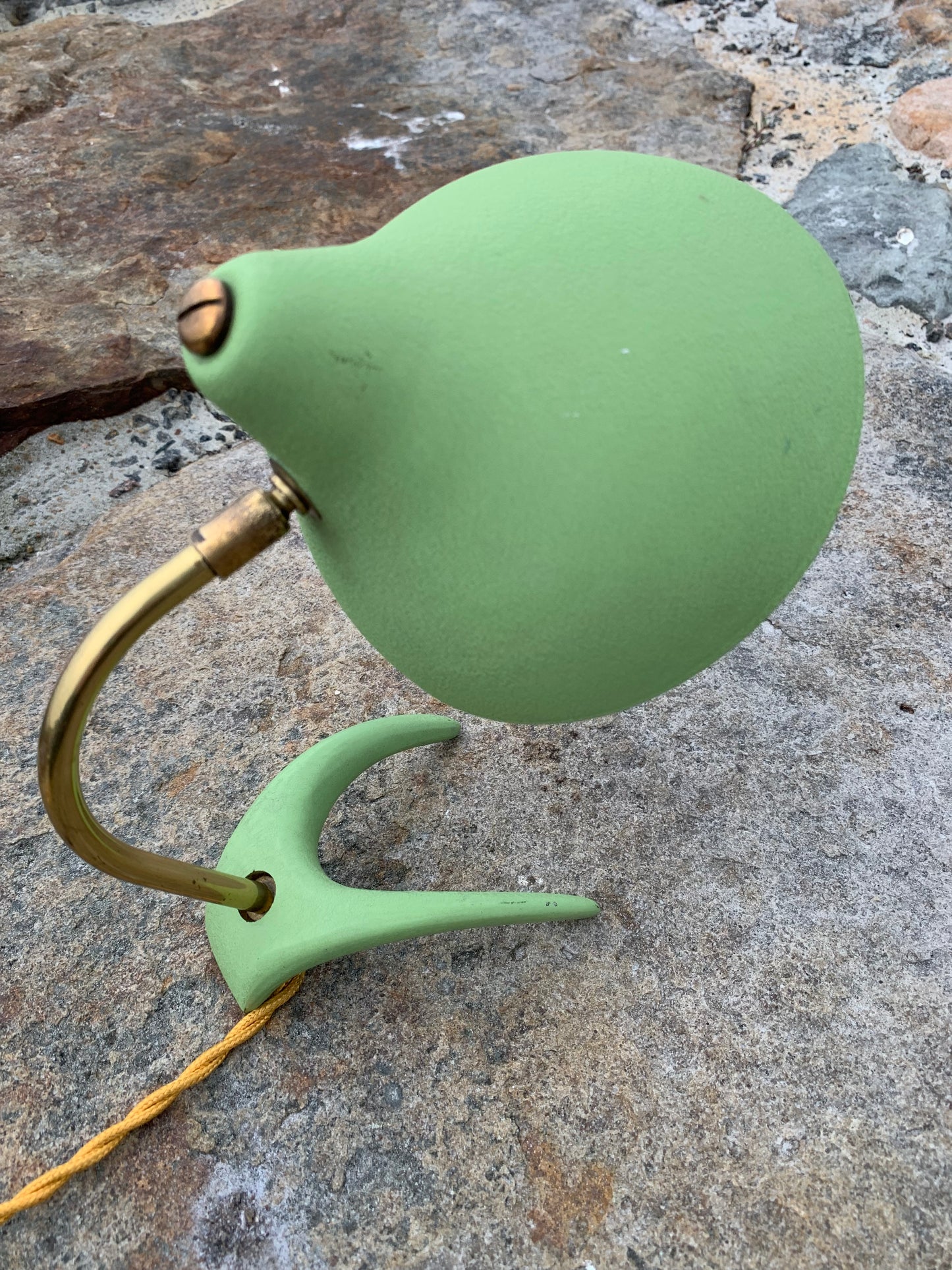 Cosack Crowfoot - Mini
