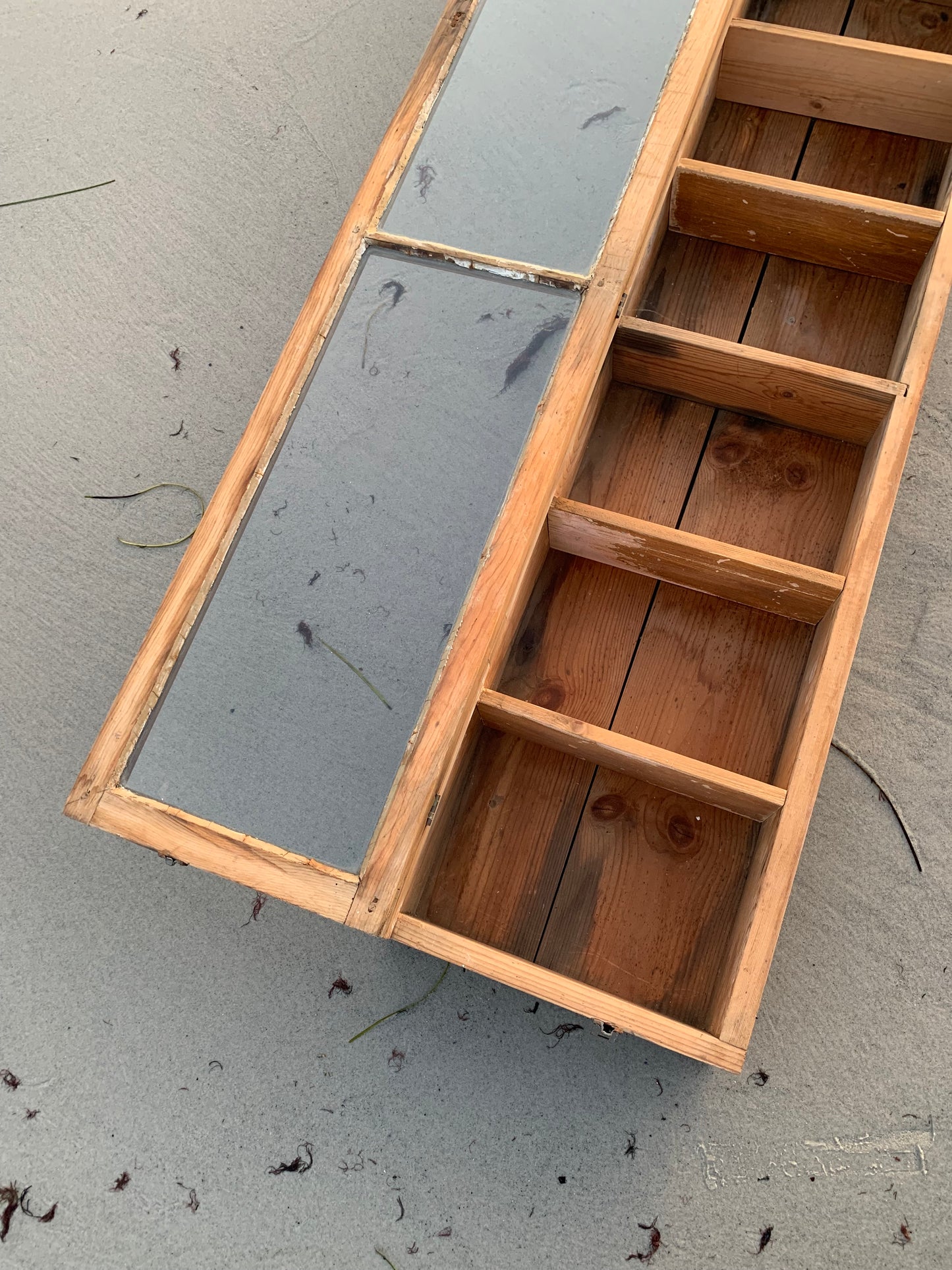 Vitrine (oder Vitrine)