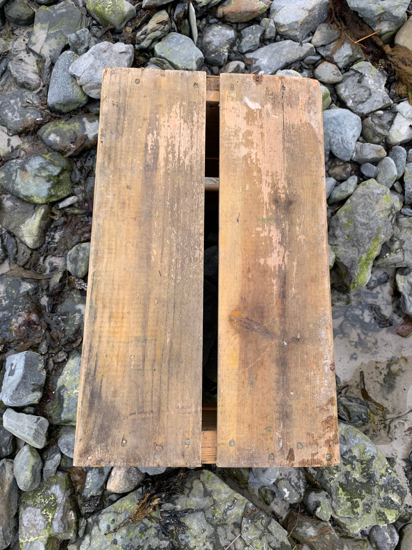 Apfelweindose aus der Brauerei Kongens