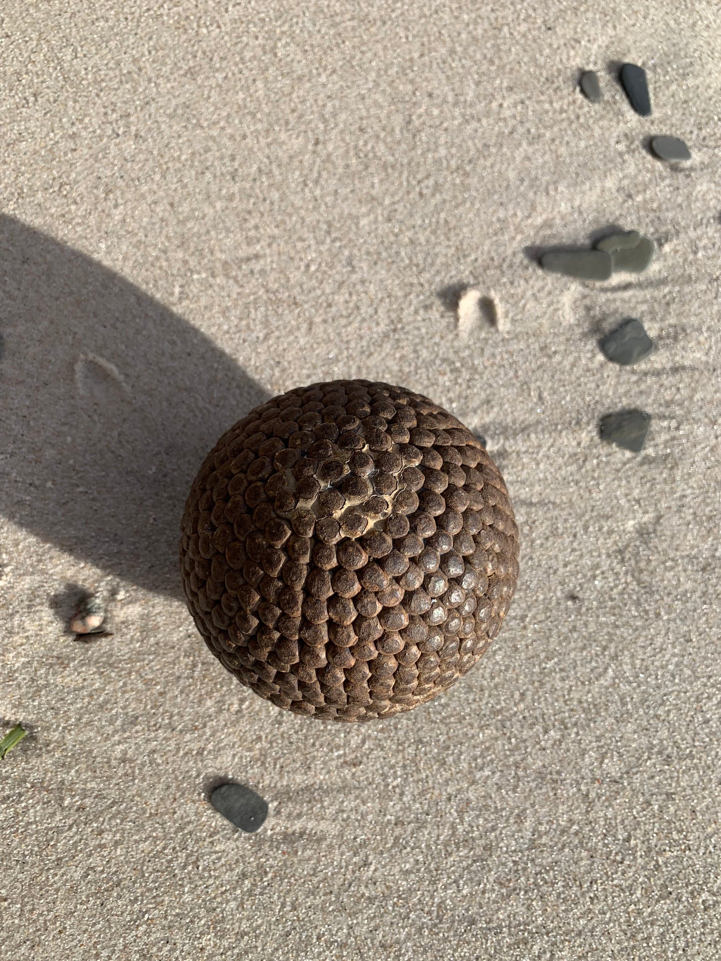Französischer Ball