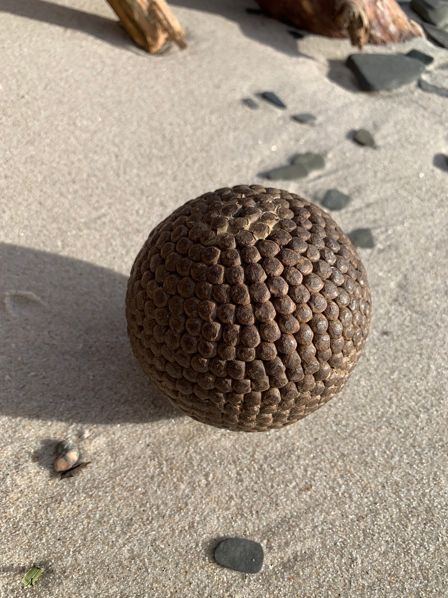Französischer Ball