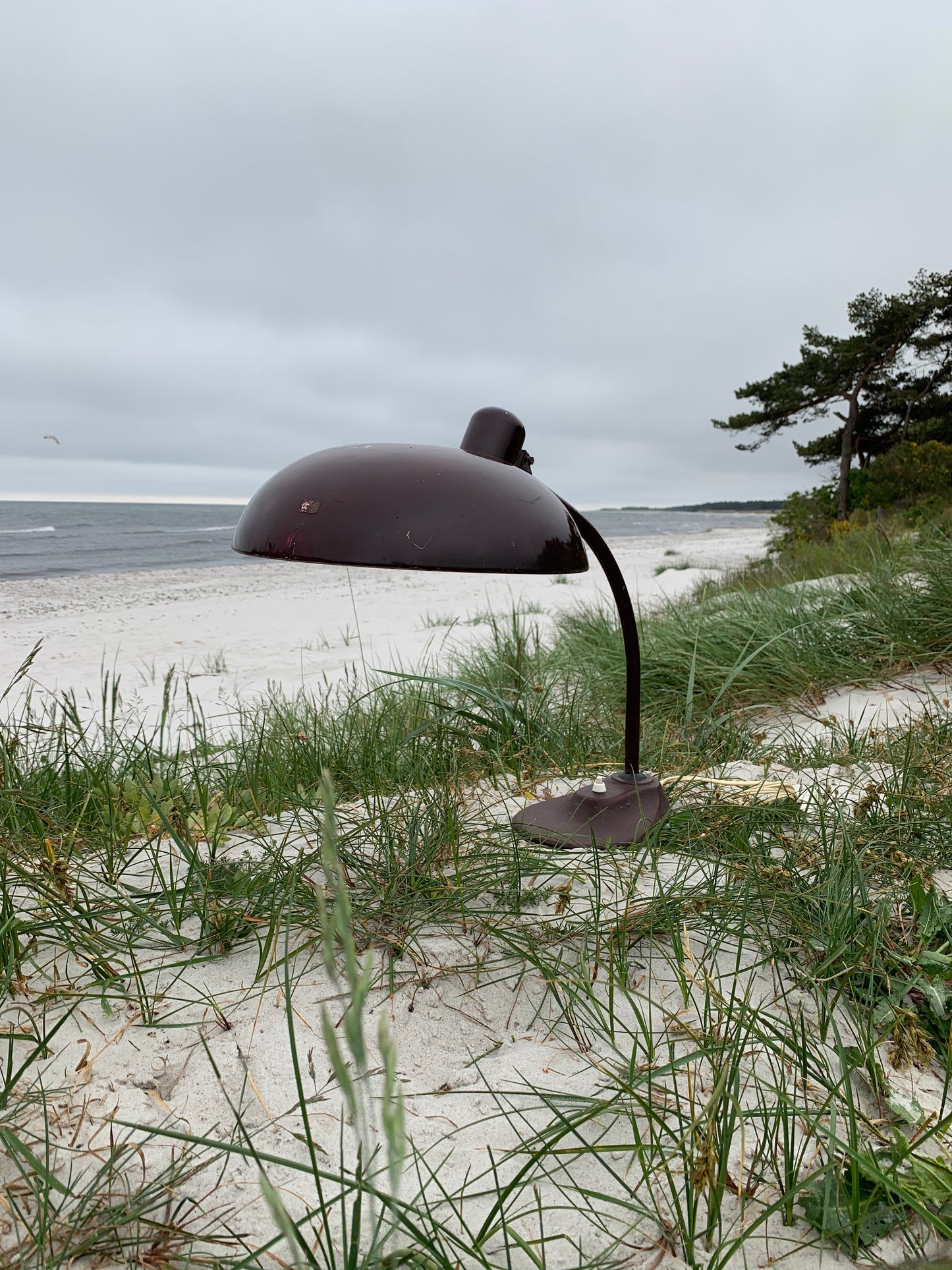 Marianne Brandt Tischlampe - Braun