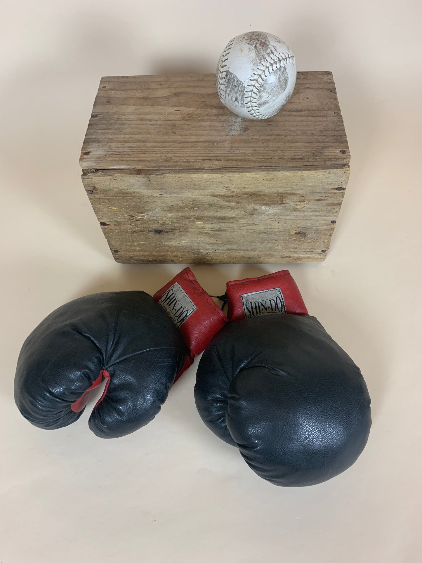 Boxhandschuhe