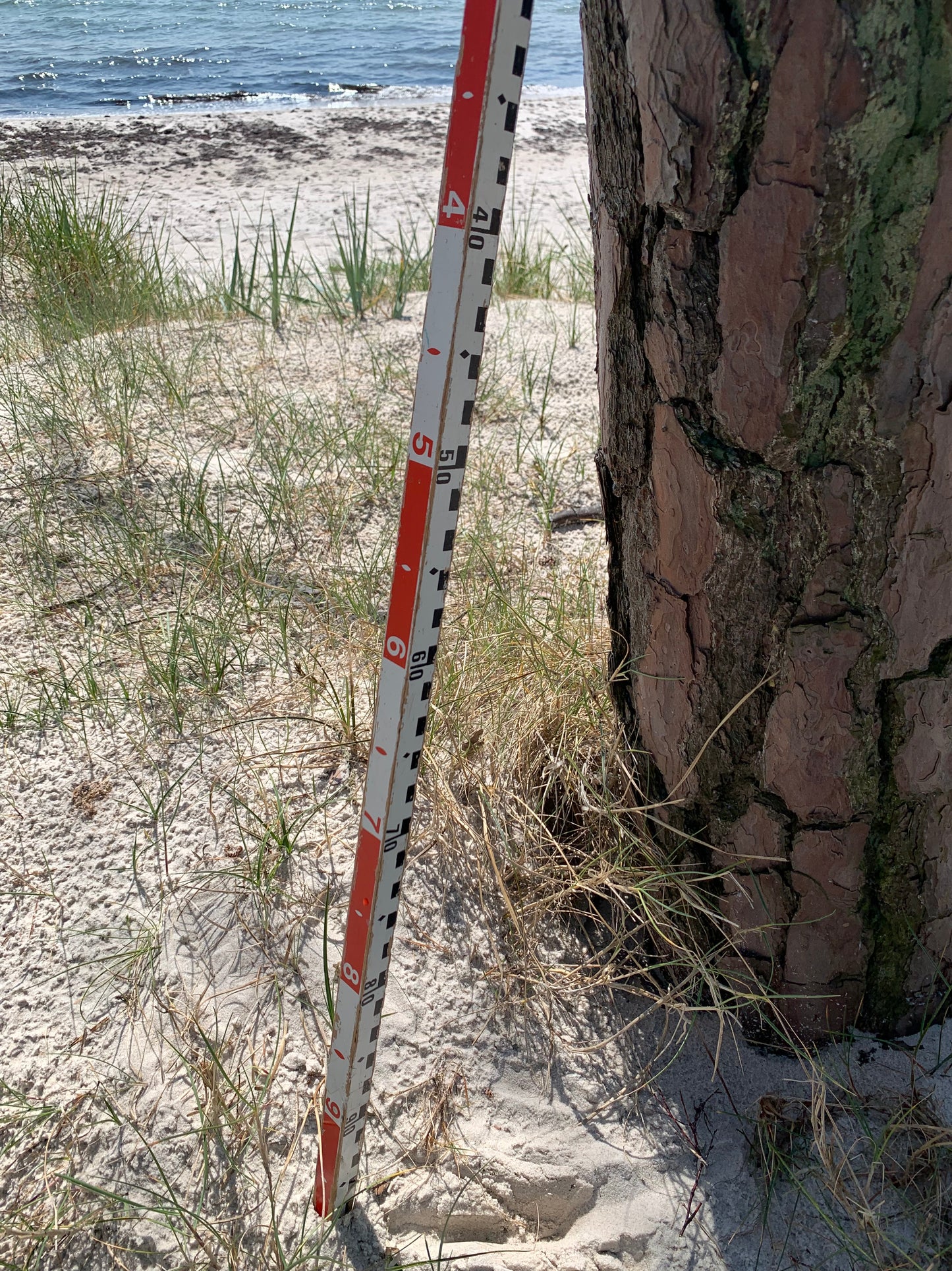 Dekorativer Messstab