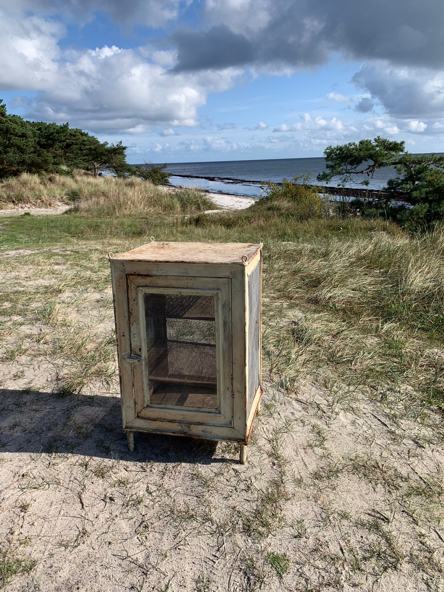 Schöner Fliegenschrank mit Beinen und Regalen