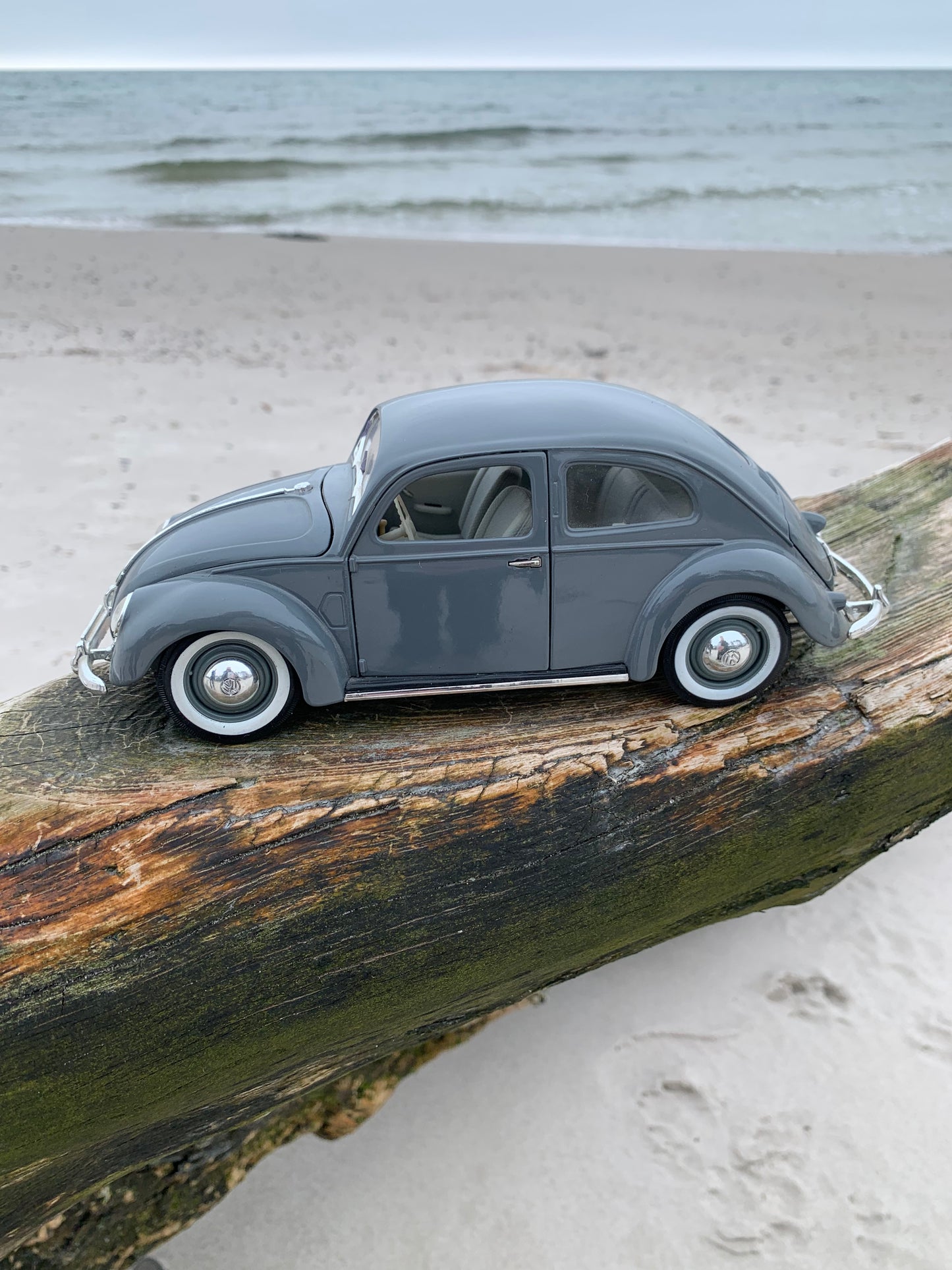 VW Export Limousine 1951