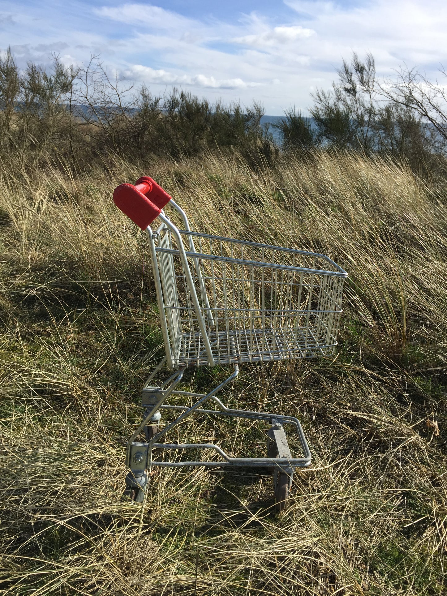 Schöner Einkaufswagen für Kinder