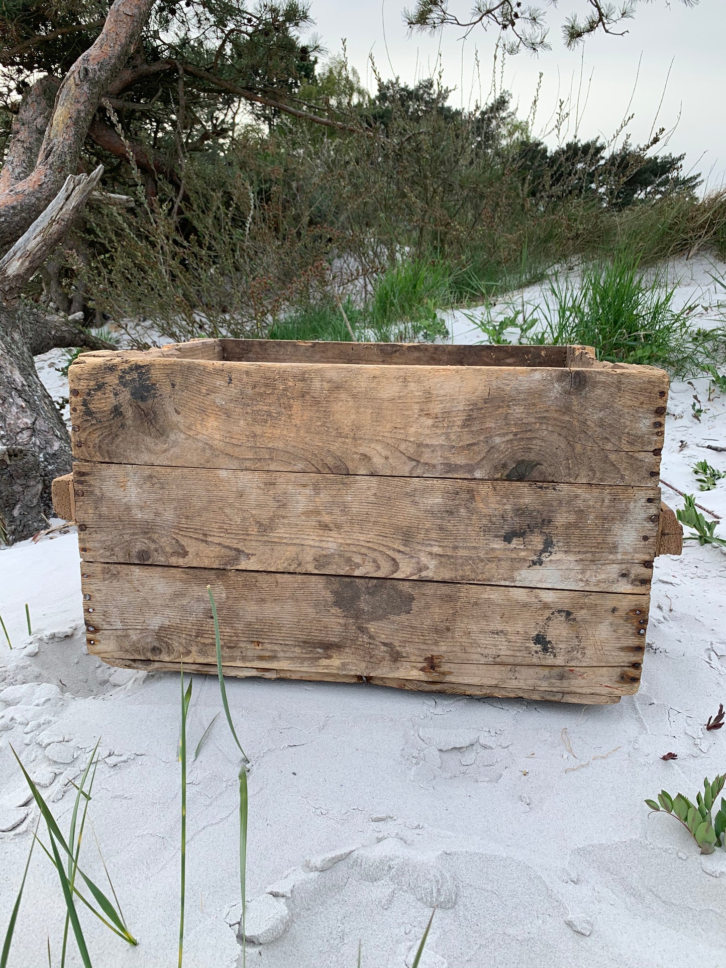 Große Holzkiste mit viel Patina
