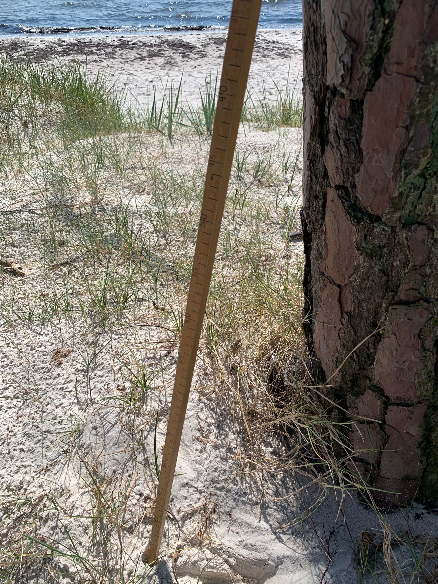 Dekorativer Messstab von 1950