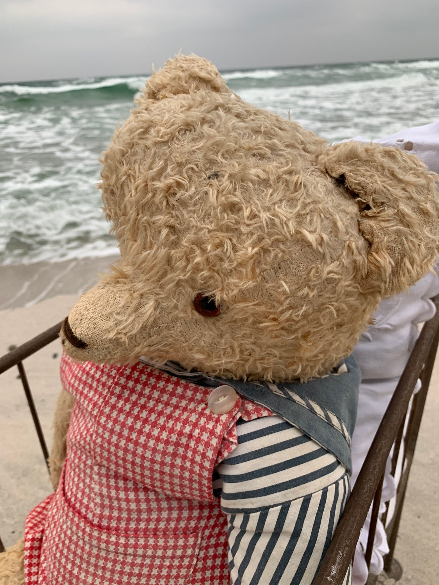 Schöner alter Teddybär mit Bett - aus Frankreich