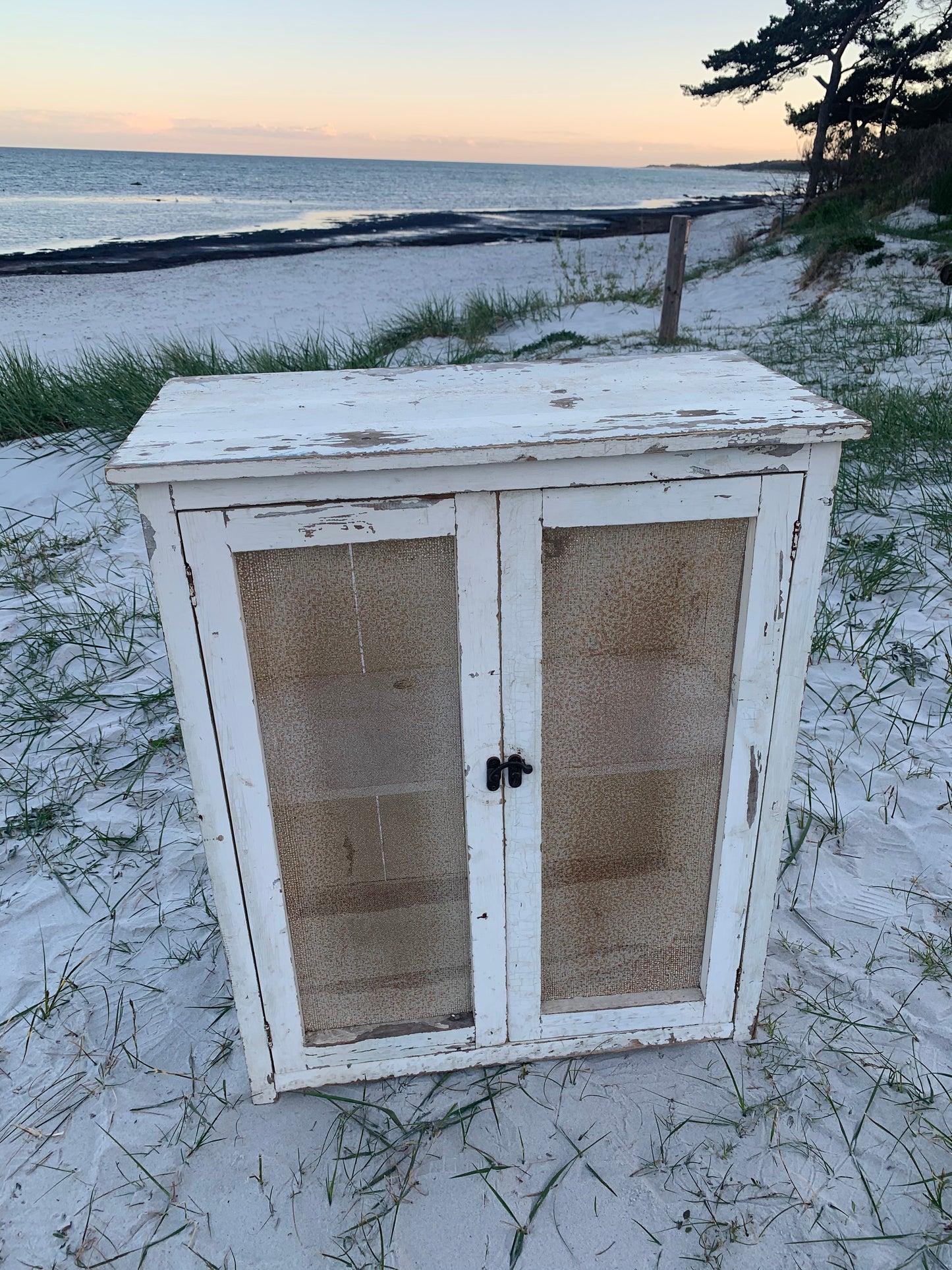 Fliegenschrank