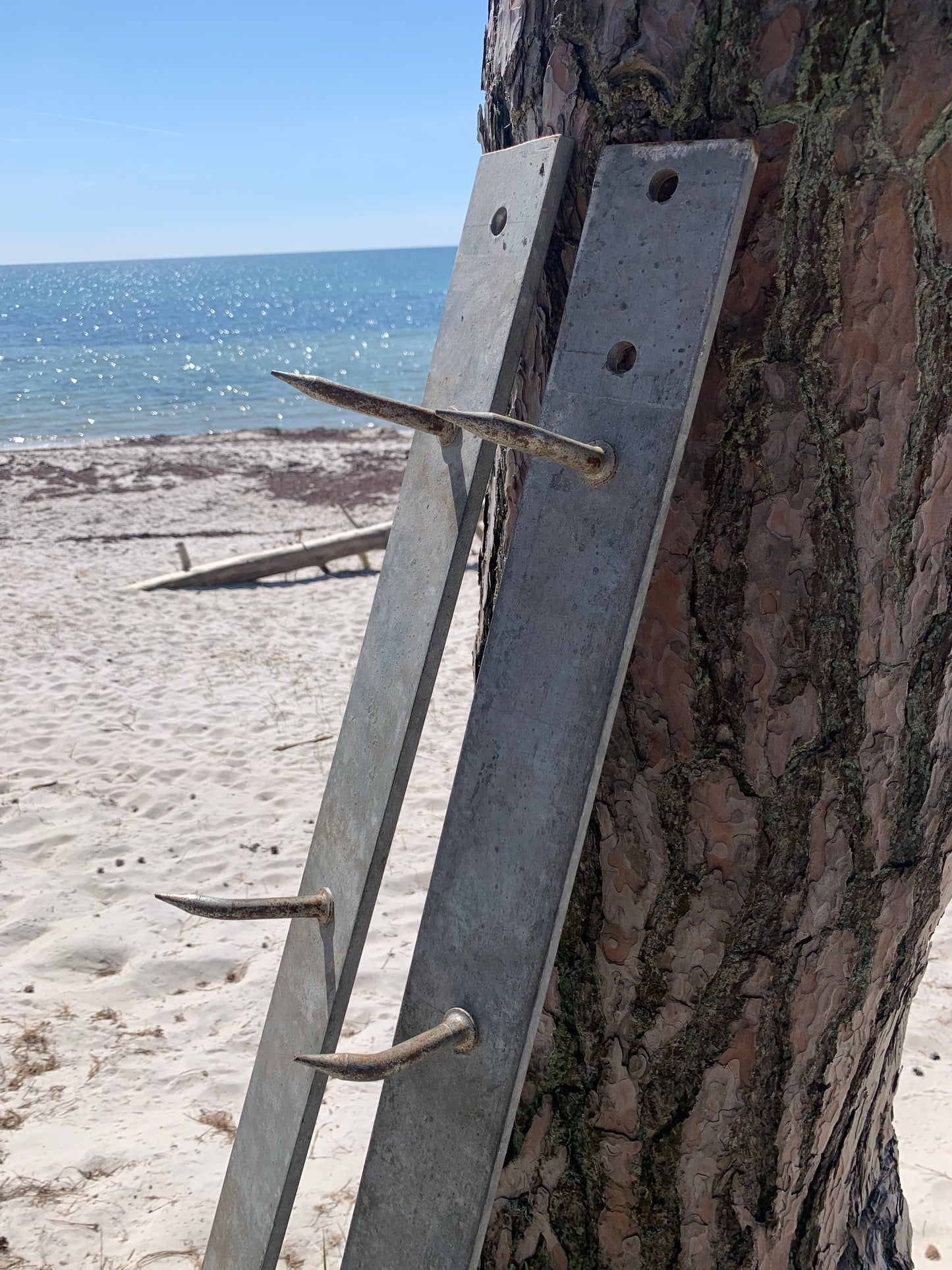 Französischer Haken