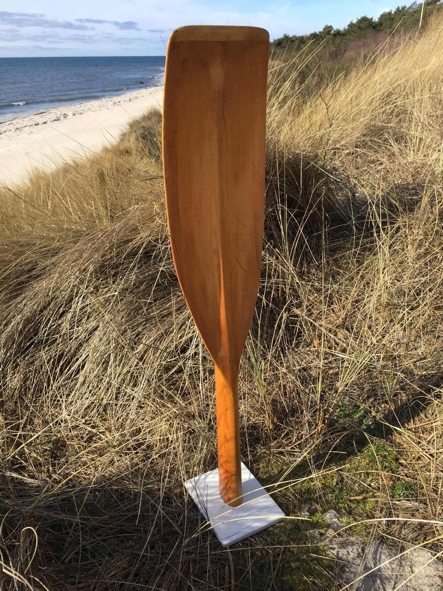 Ruder zu Fuß (Flechte)