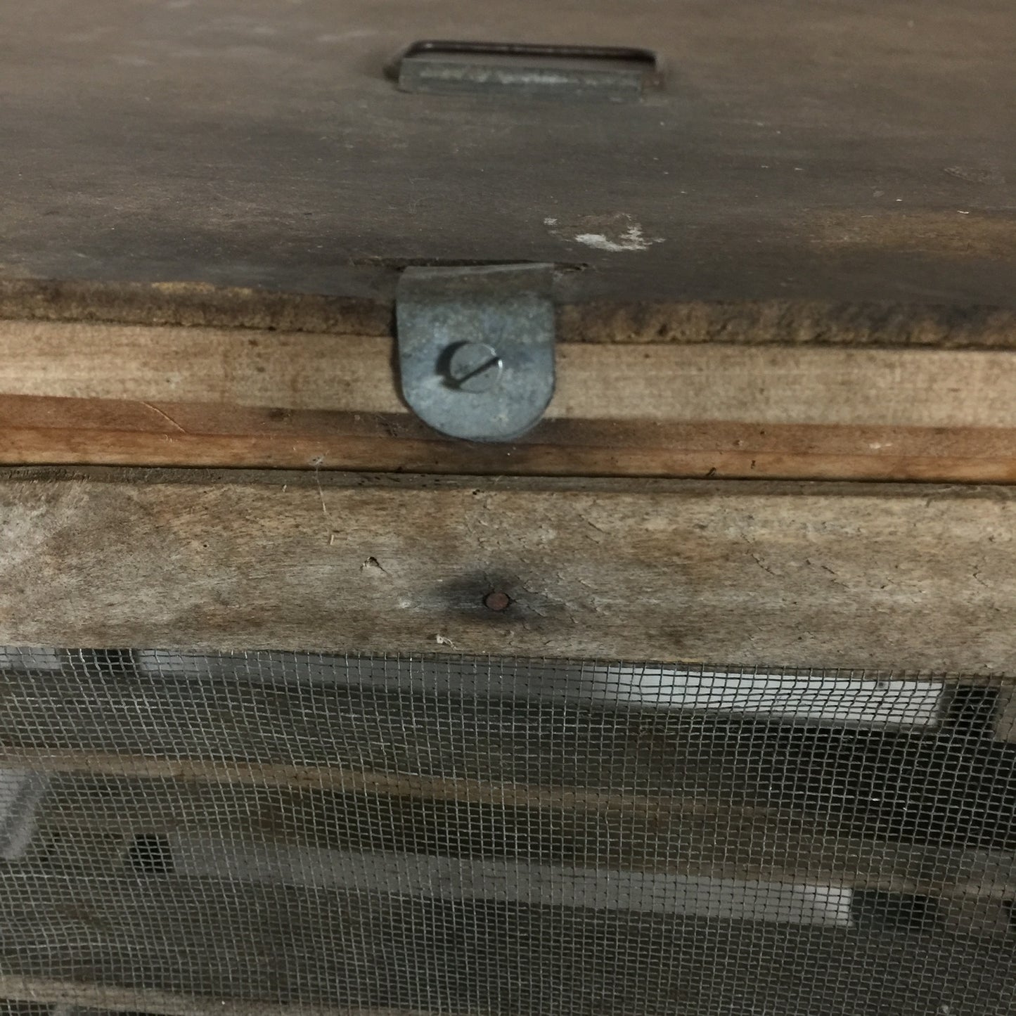 Wunderschöner patinierter Fliegenschrank aus Frankreich