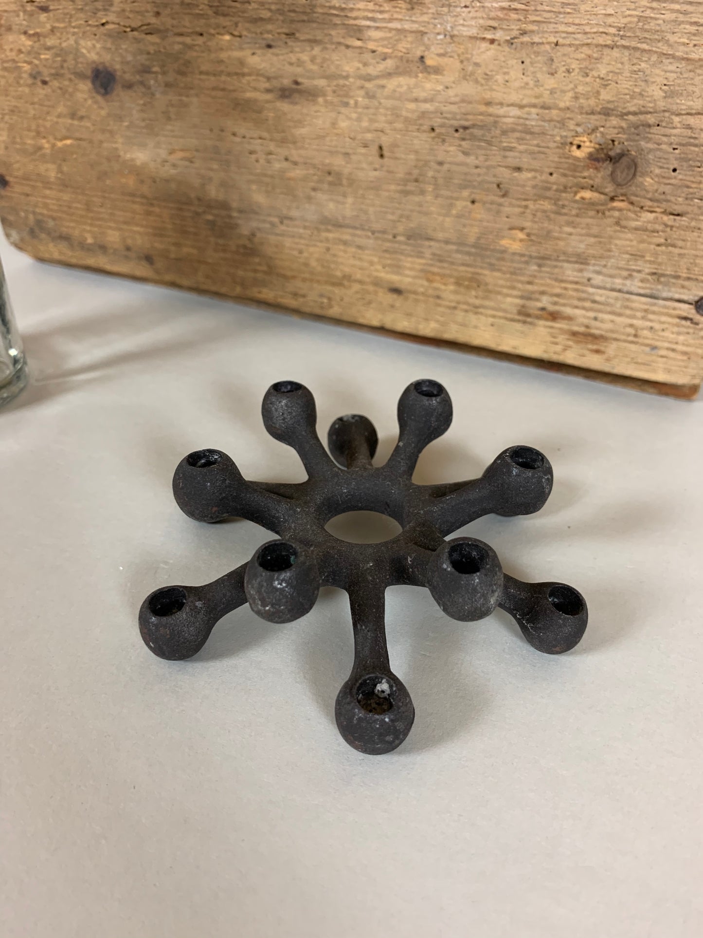 Spinne