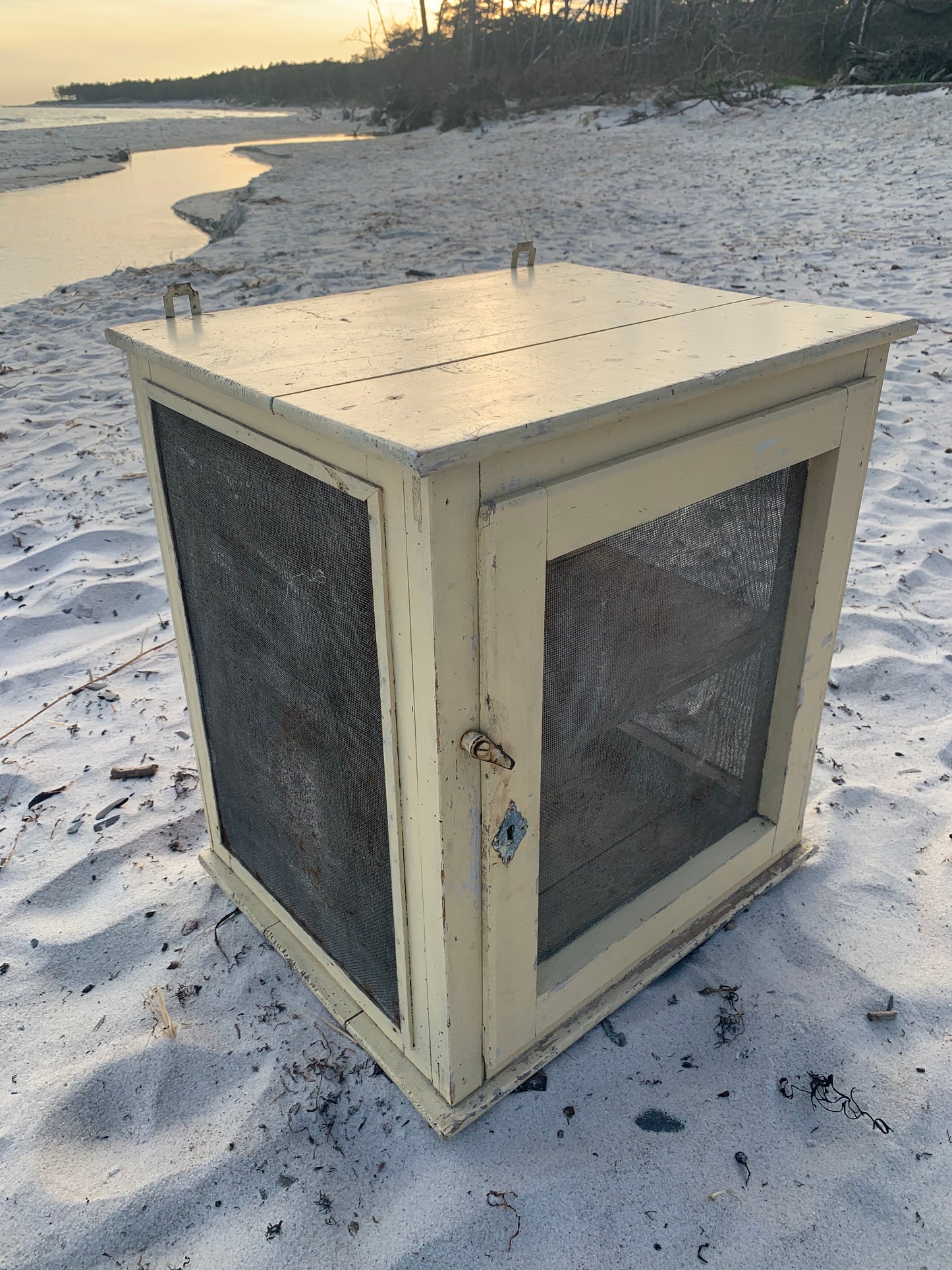 Wunderschöner Fliegenschrank mit Patina