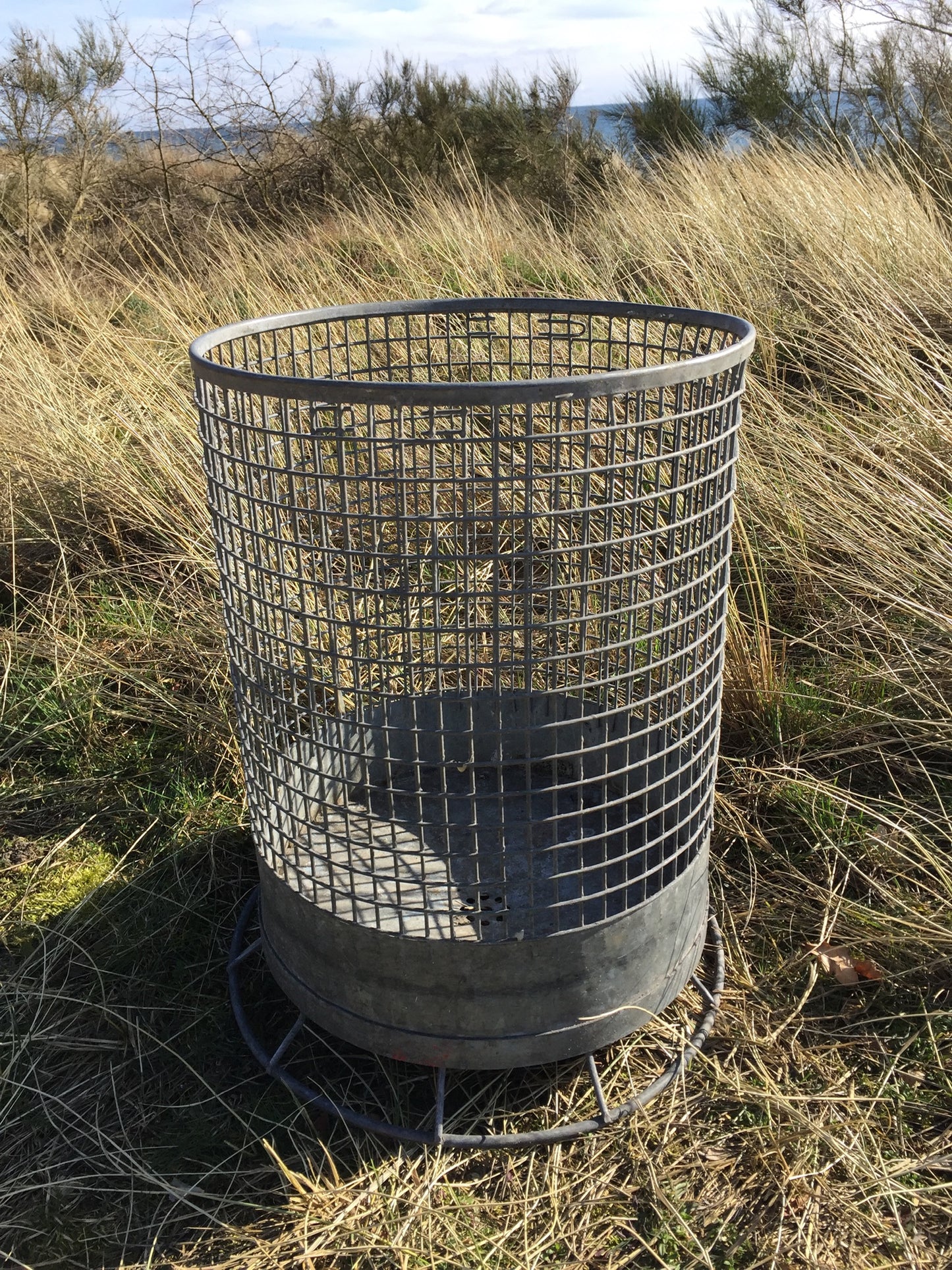 Große Schönheit roh und rund