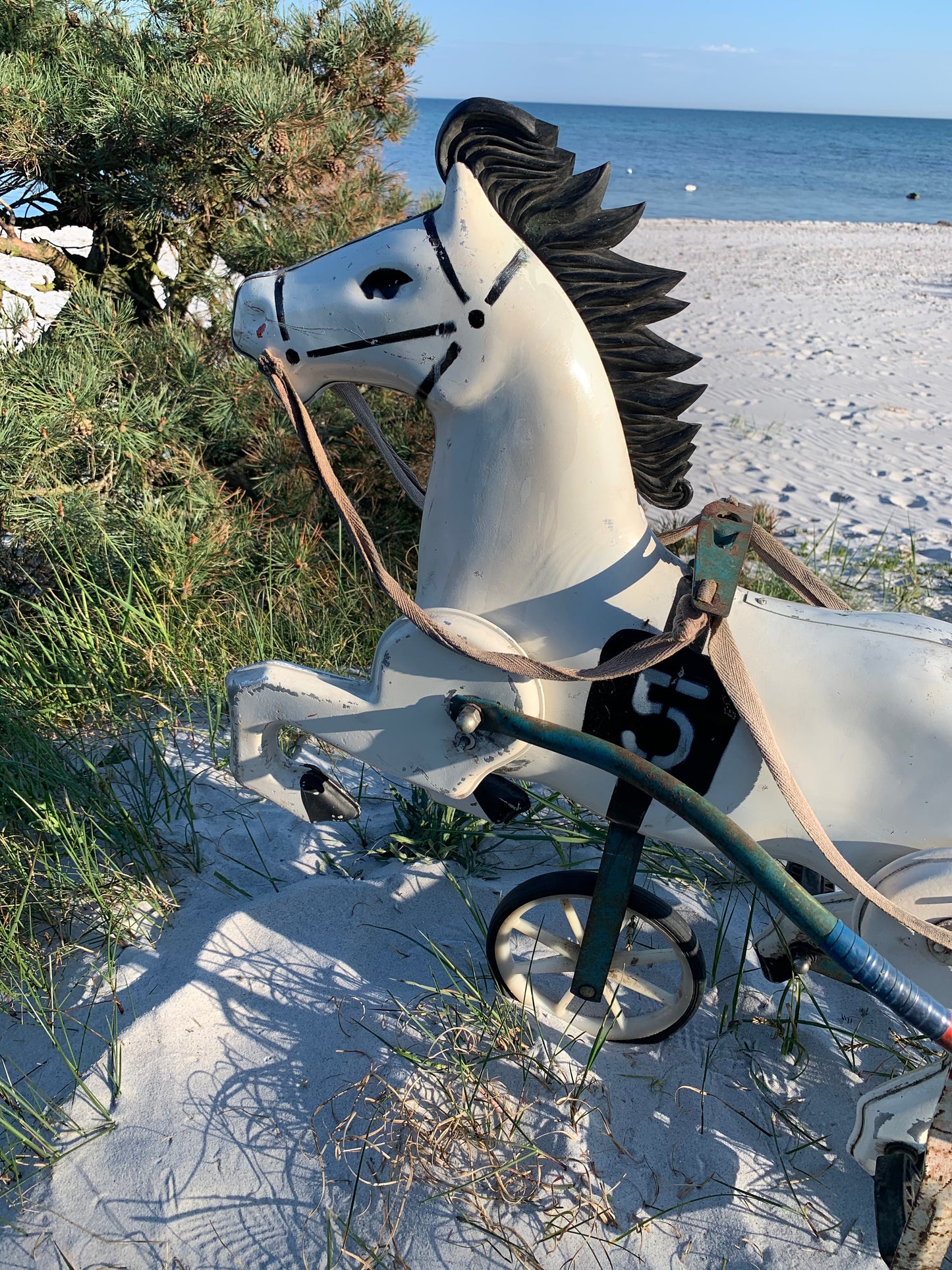 Pferd mit Wagen
