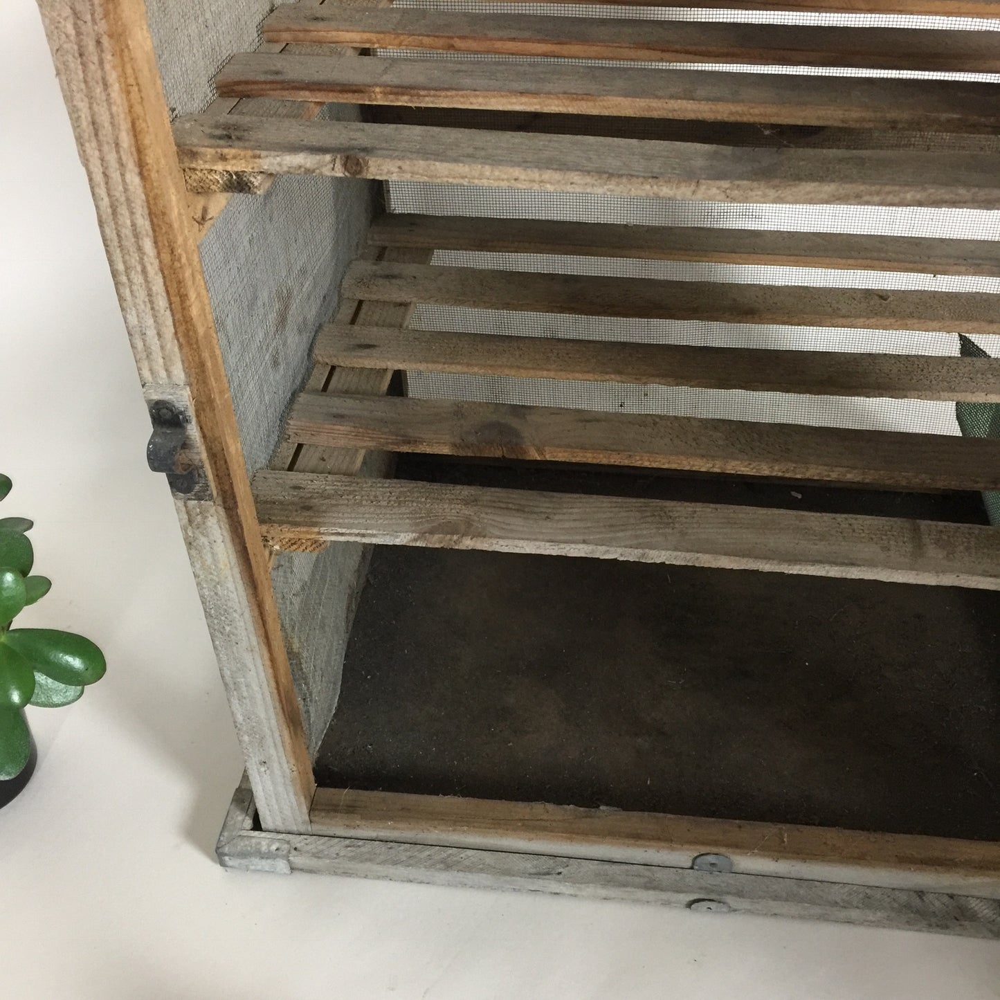 Wunderschöner patinierter Fliegenschrank aus Frankreich