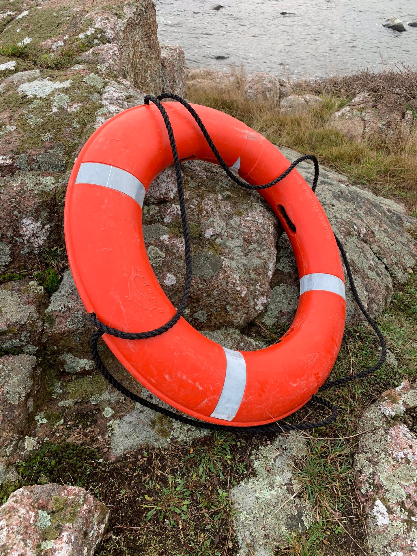 Rettungsring