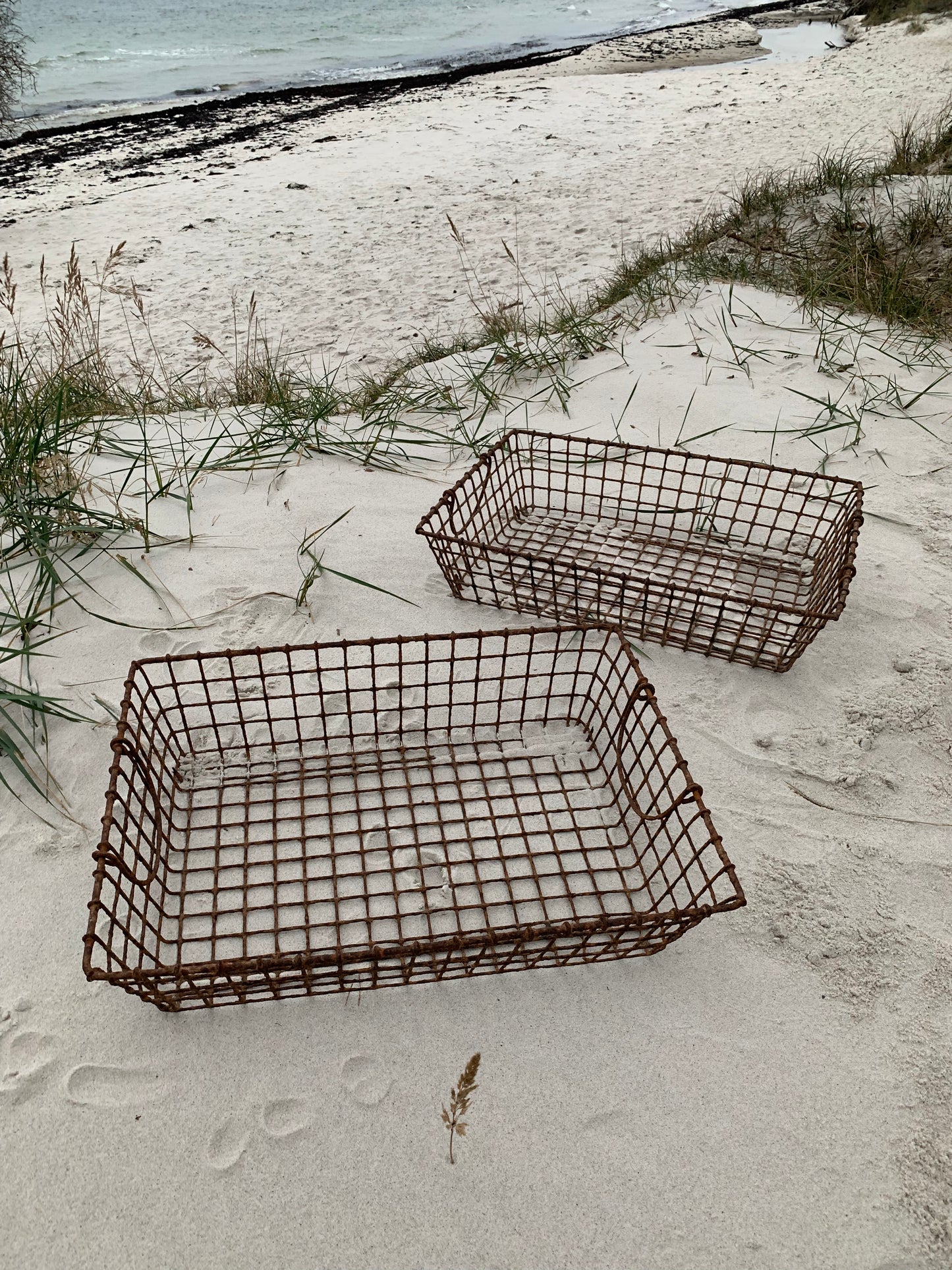 Französischer Austernkorb