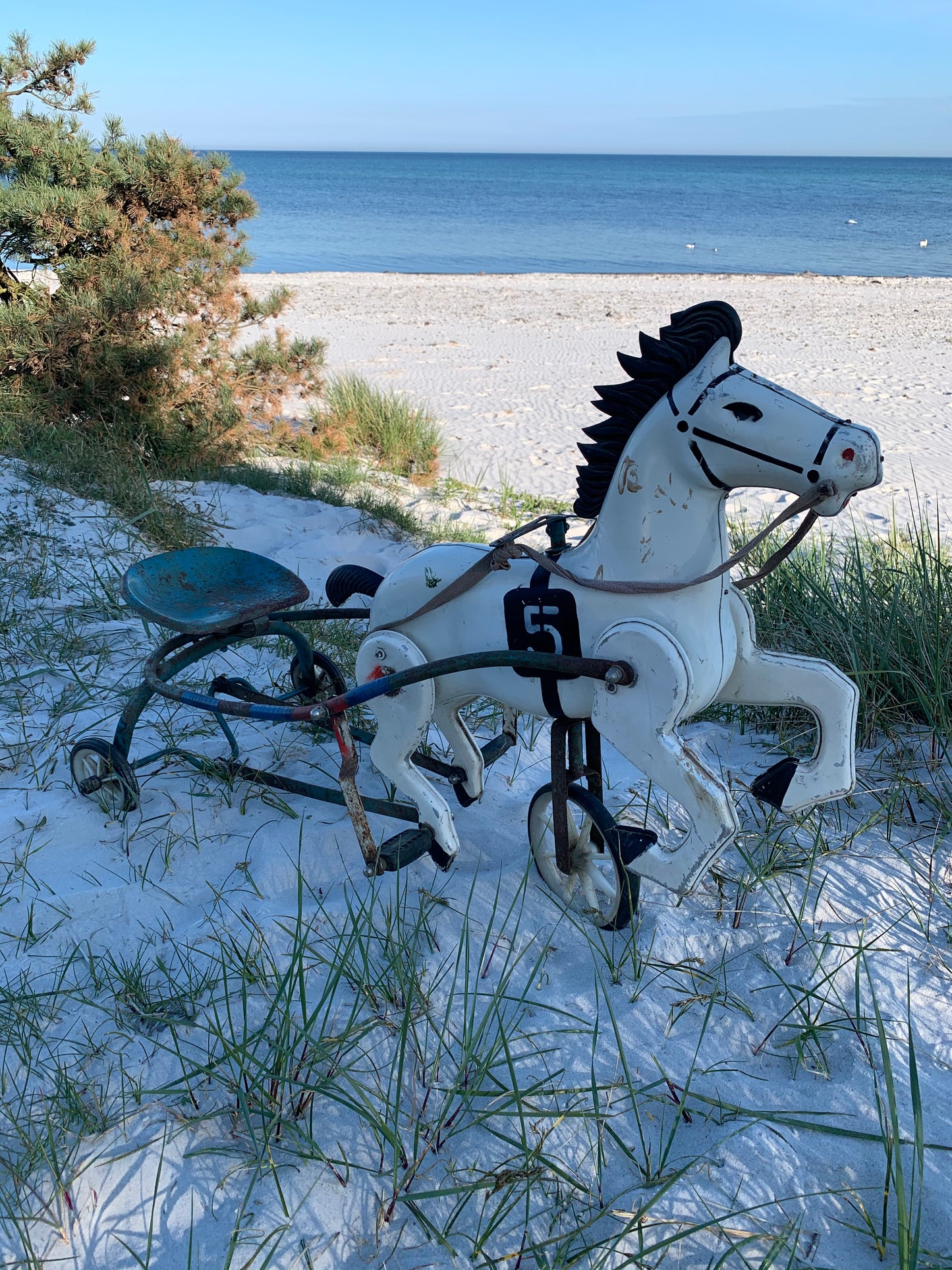 Pferd mit Wagen