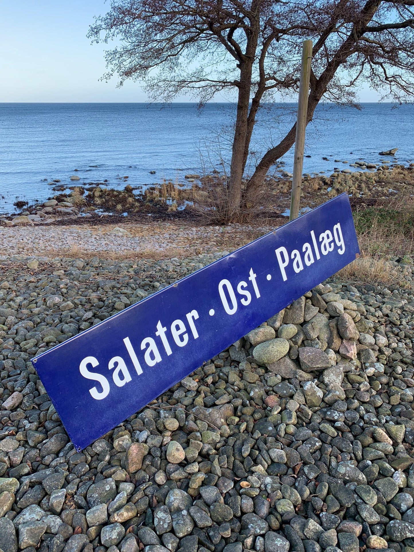 Emailleschild Salate - Käse - Aufschnitt