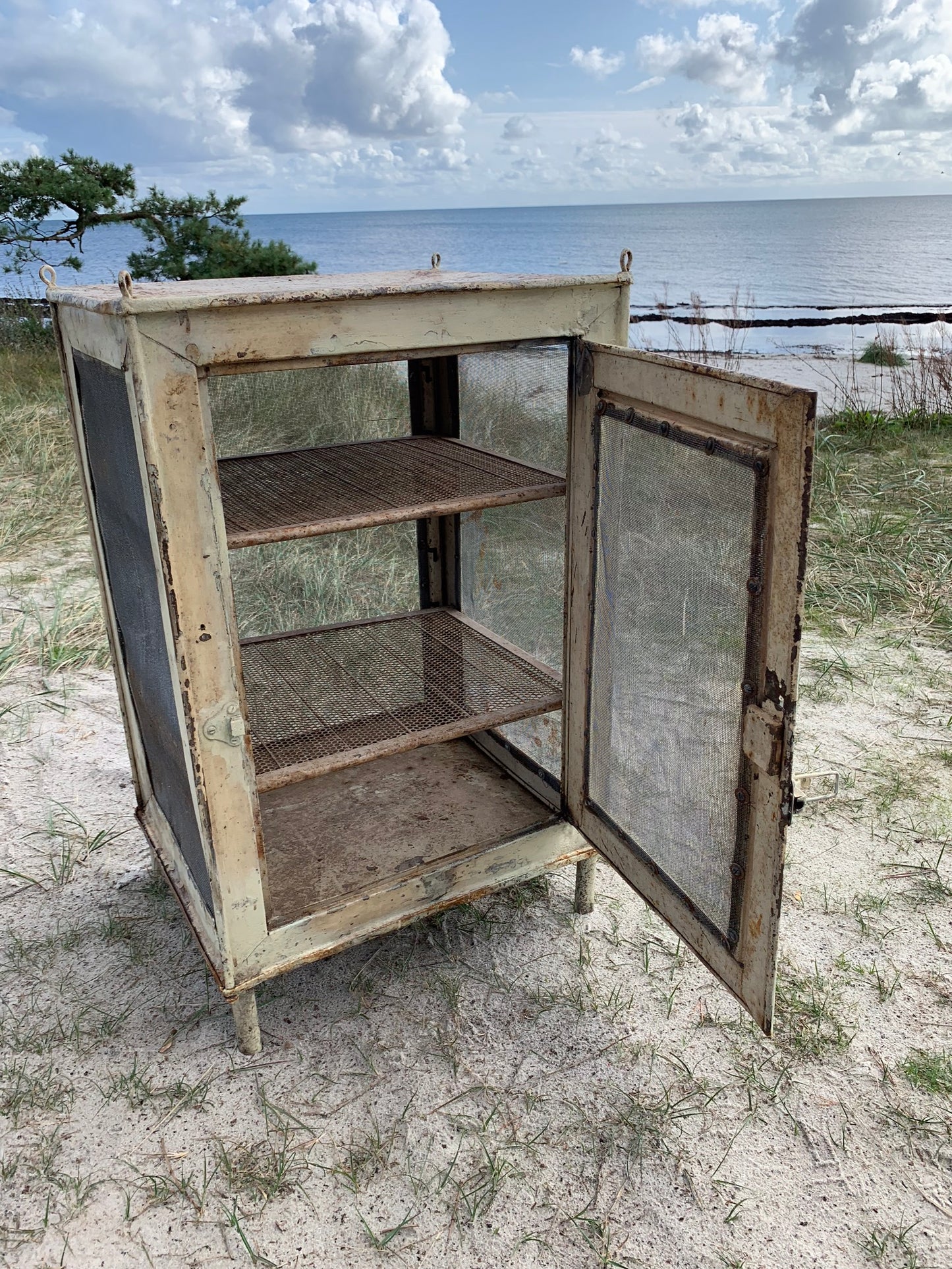 Schöner Fliegenschrank mit Beinen und Regalen
