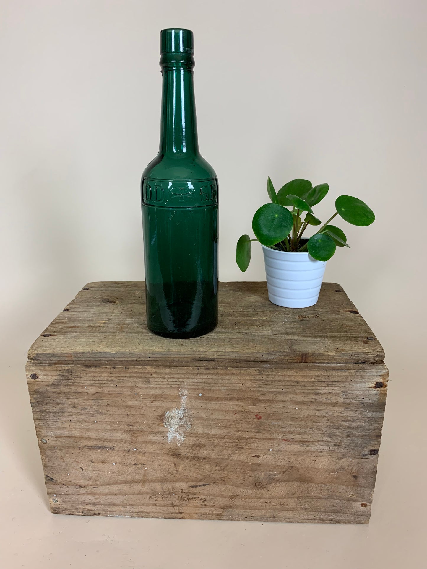 Grüne DDSF-Flasche