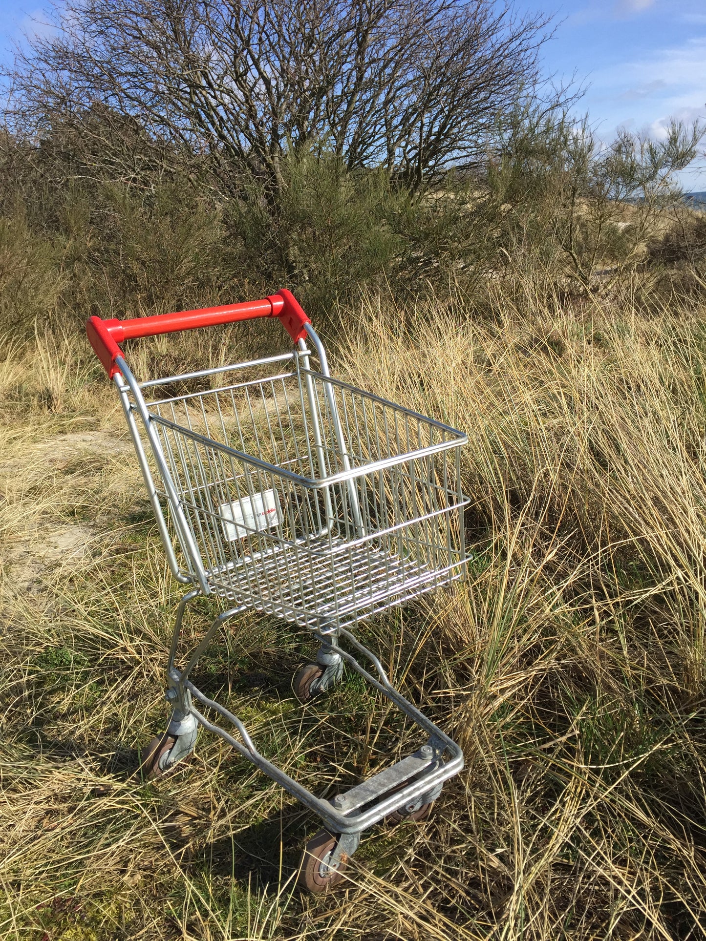 Schöner Einkaufswagen für Kinder