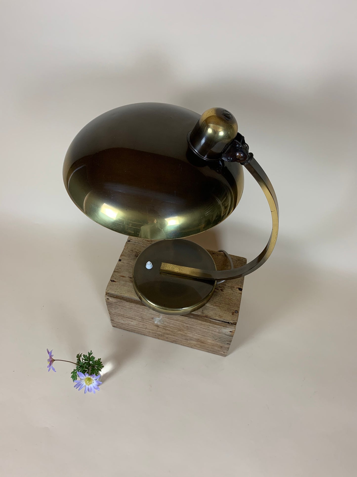 Christian Dell 6750 Tischlampe aus dunkel poliertem Messing