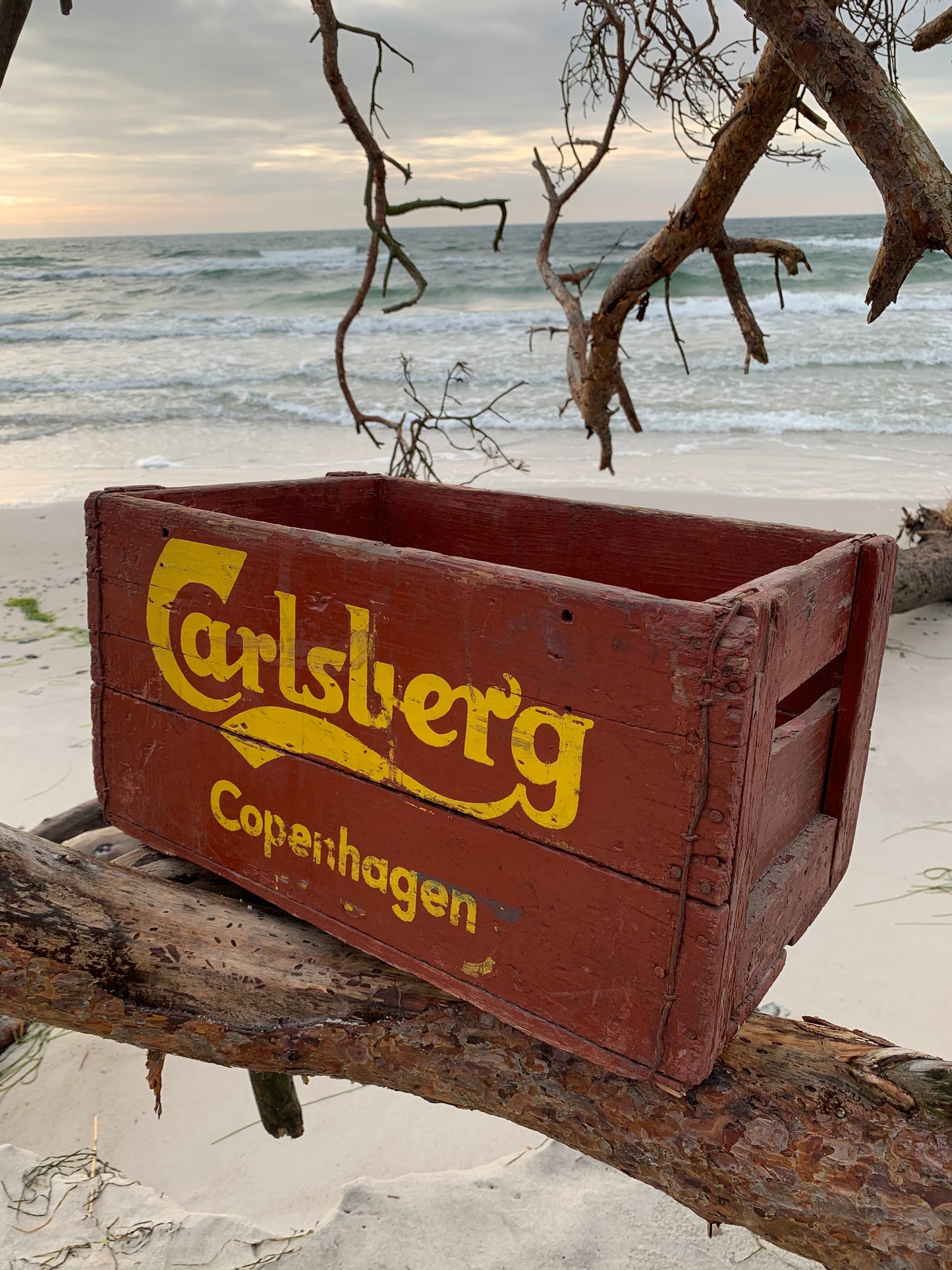 Alter Bierkasten von Carlsberg