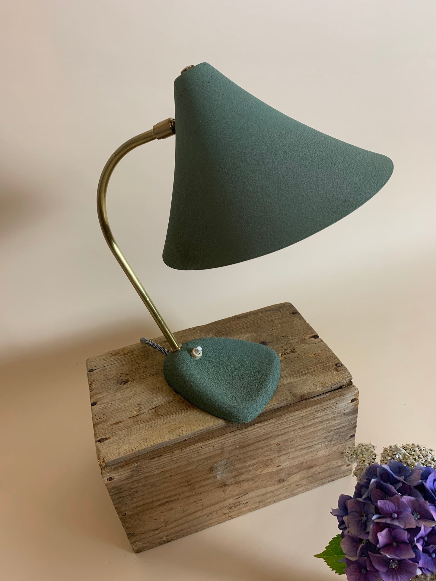 Schöne kleine Louis Kalff Vintage Lampe in Grün mit Messing