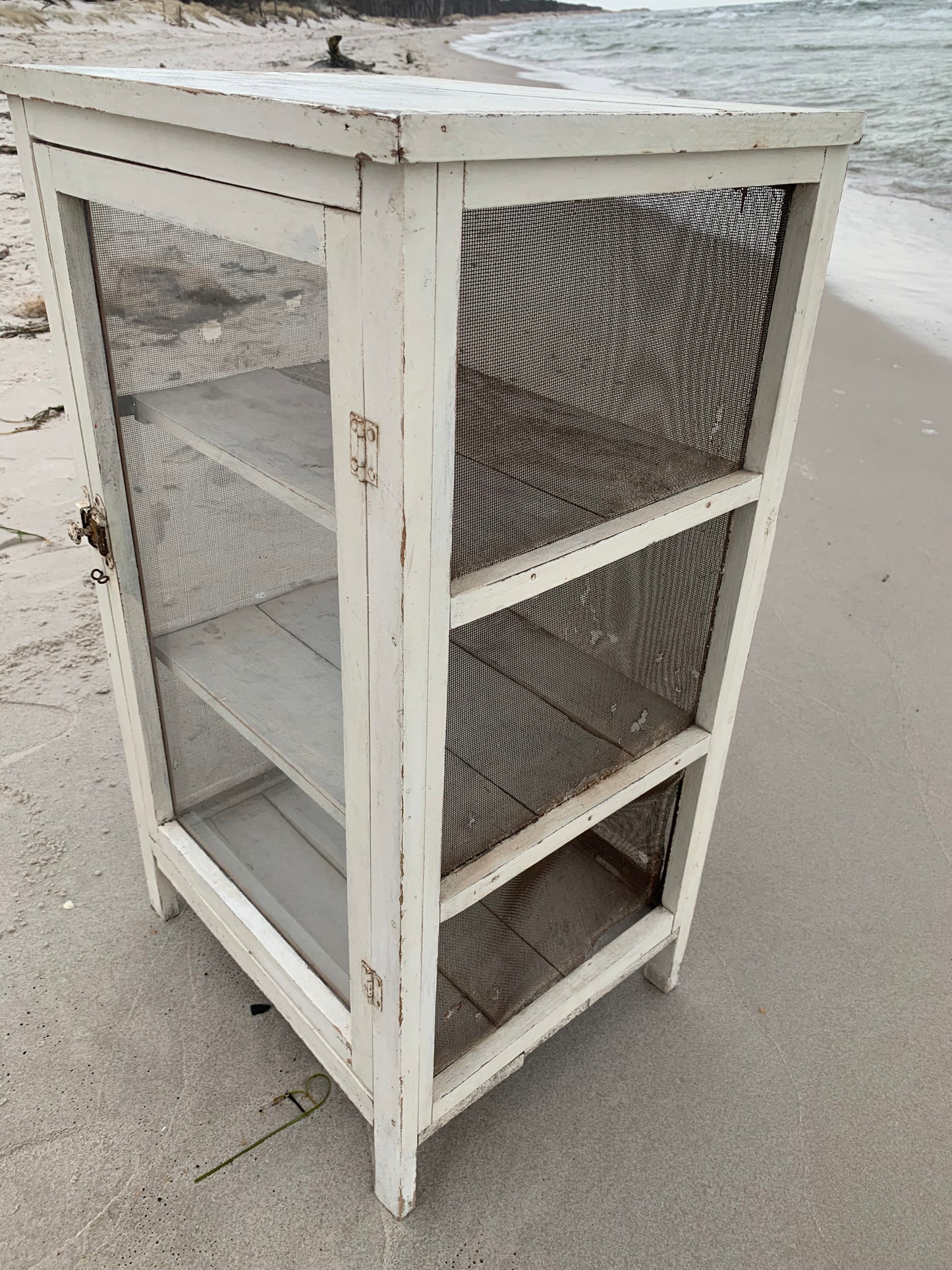 Schöner alter Fliegenschrank