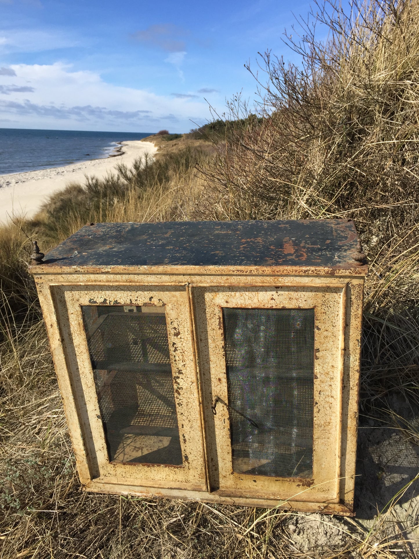 Fliegenschrank mit feinen Details