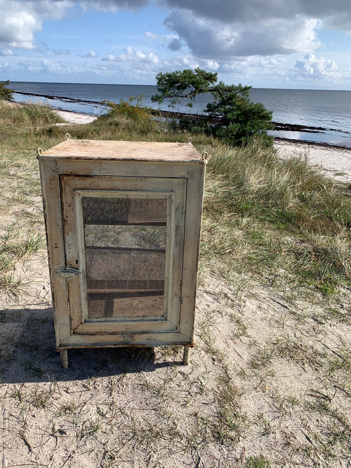 Schöner Fliegenschrank mit Beinen und Regalen